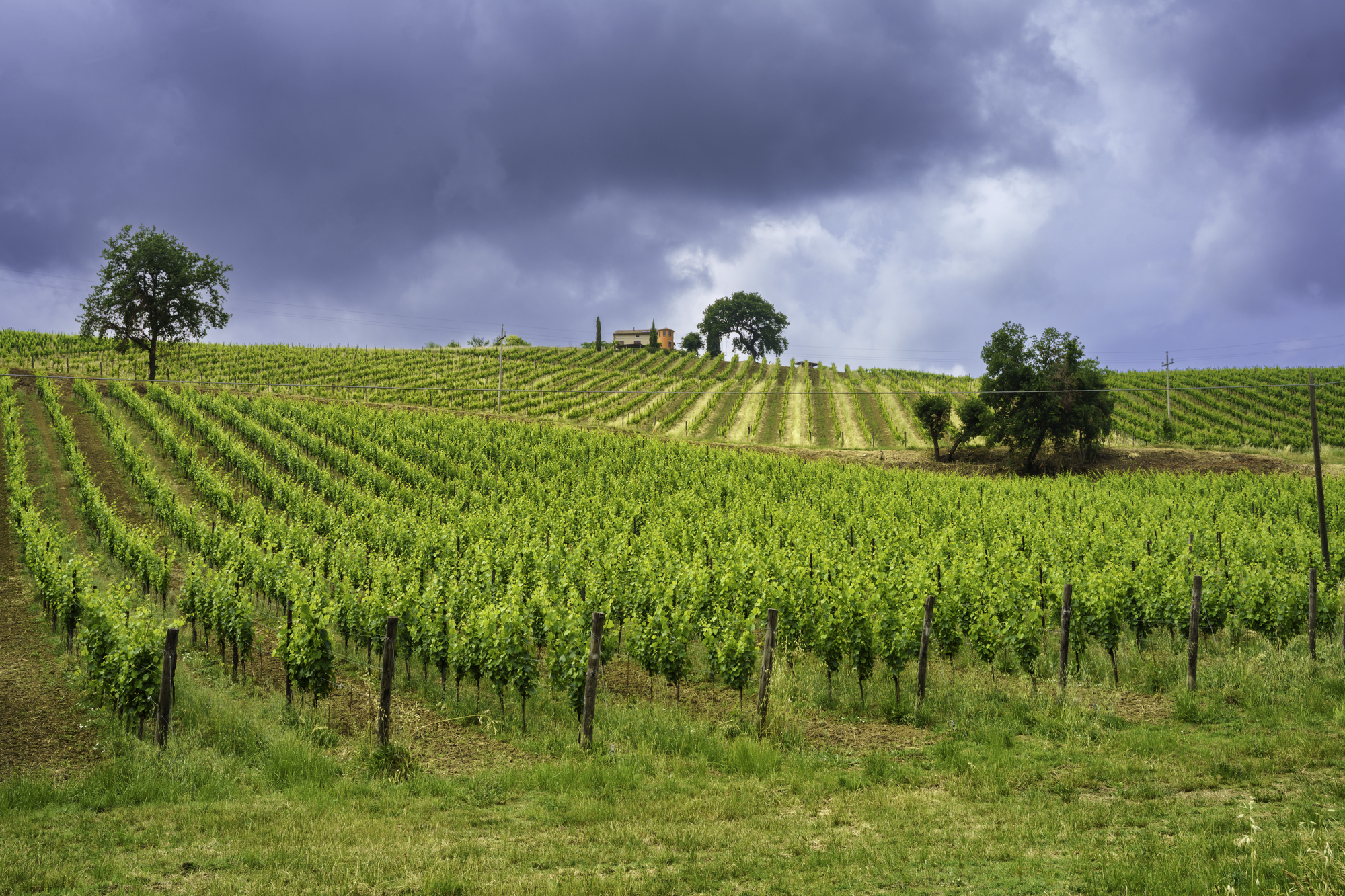 Italien: Deutscher Tourist stürzt 50m in die Tiefe und stirbt!