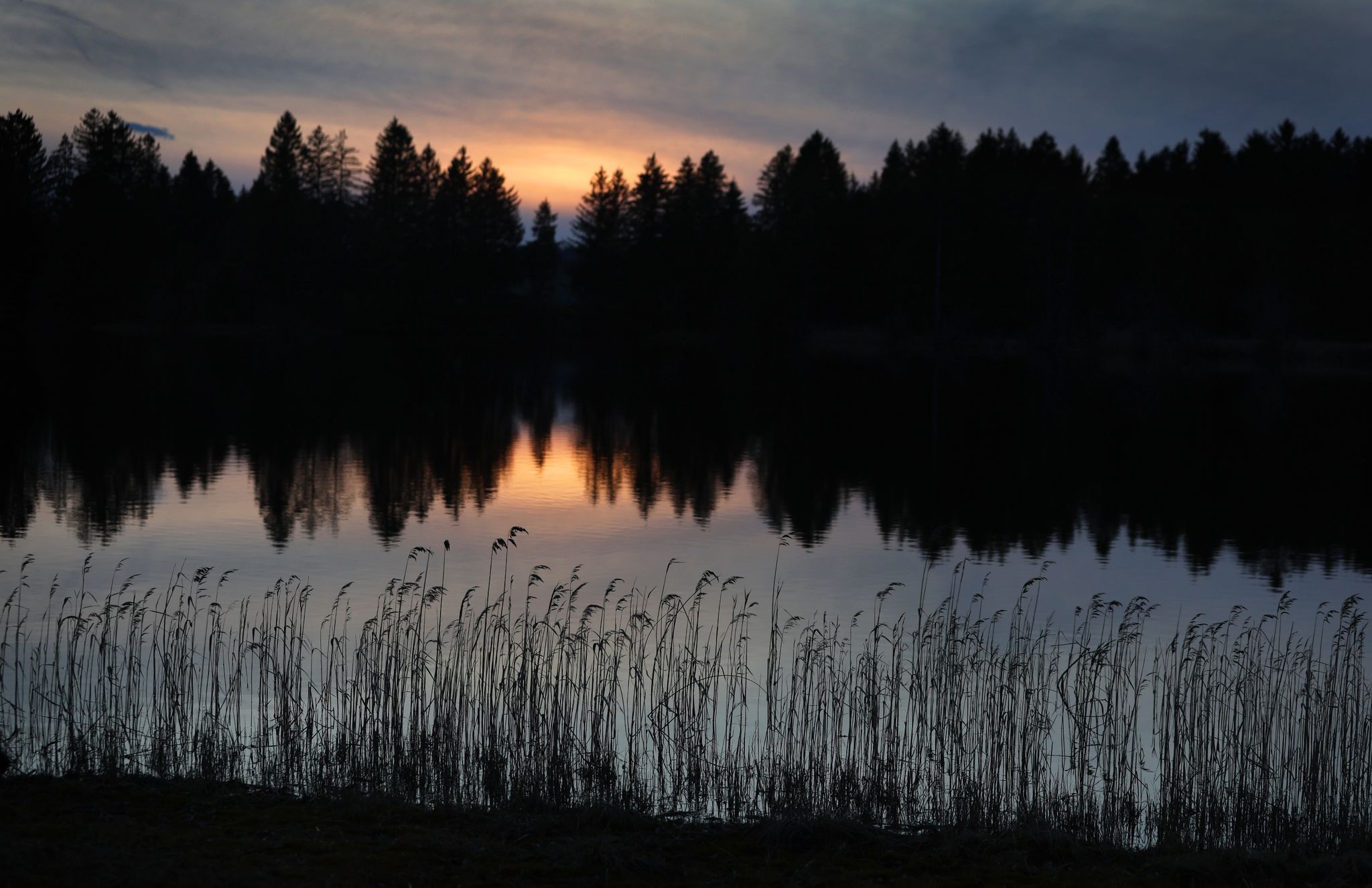 Bilder des Tages