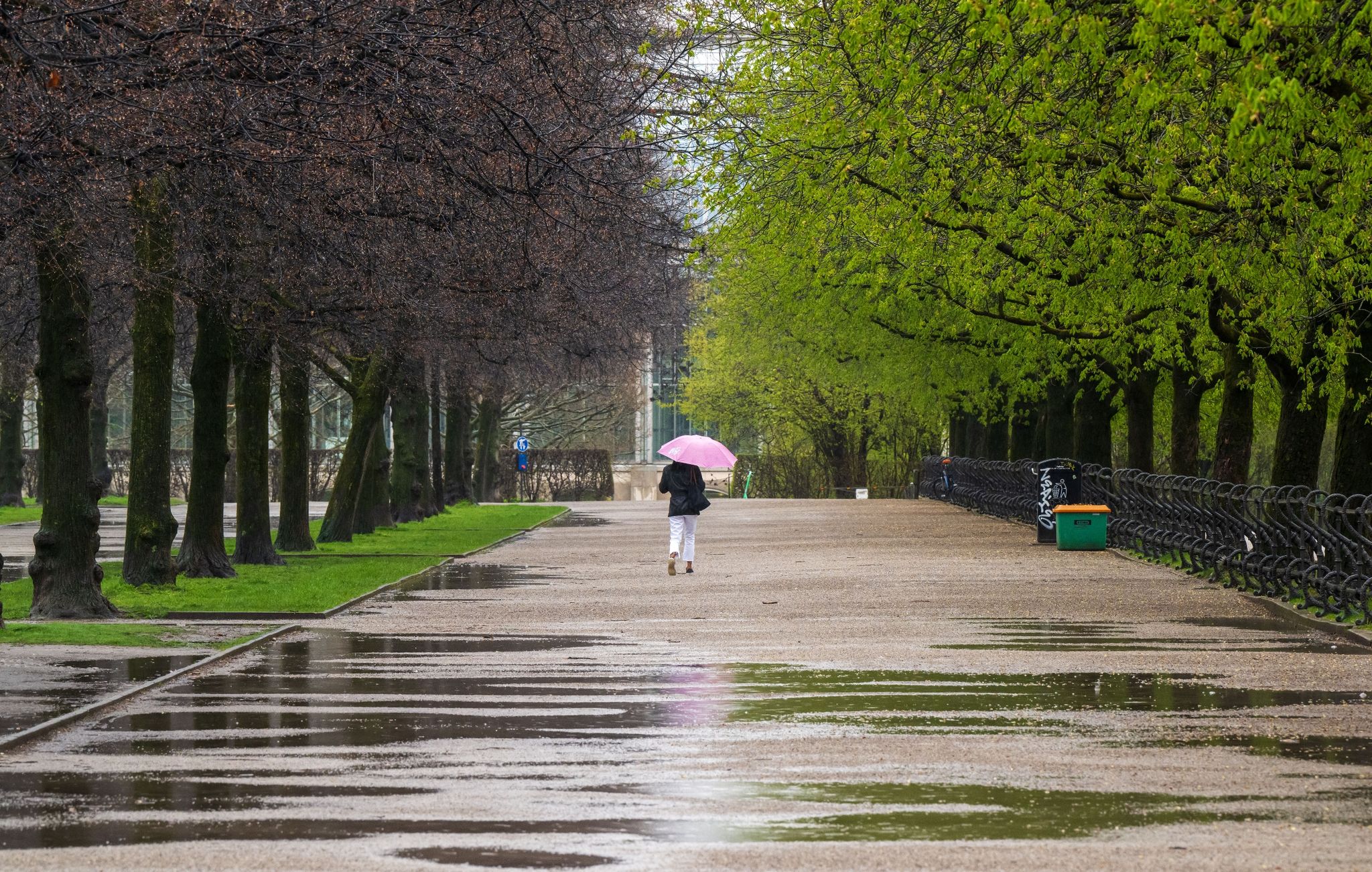 Regen und Sonnenschein – Deutschland beim Wetter geteilt