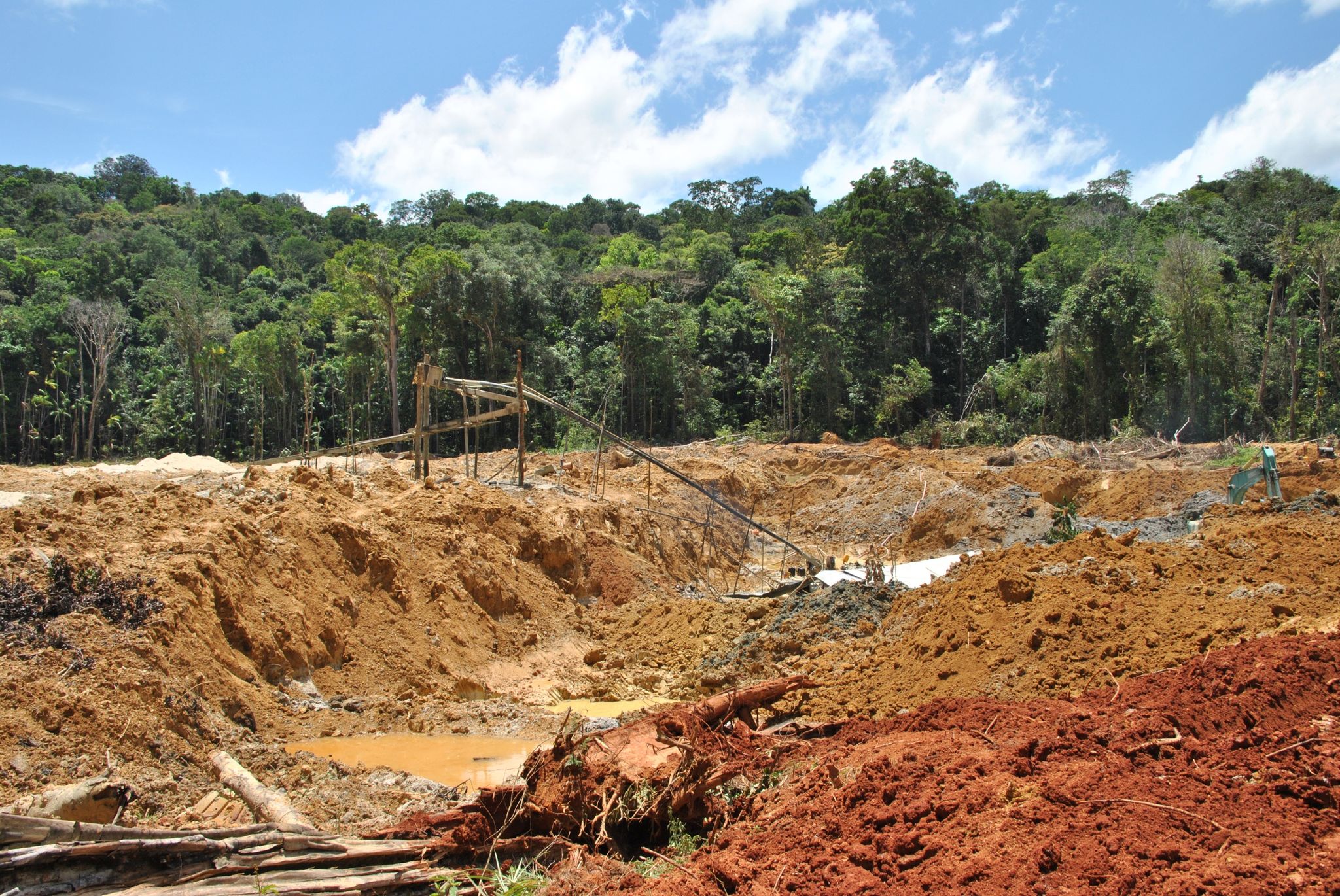 Rohstoffimporte treiben Waldzerstörung voran