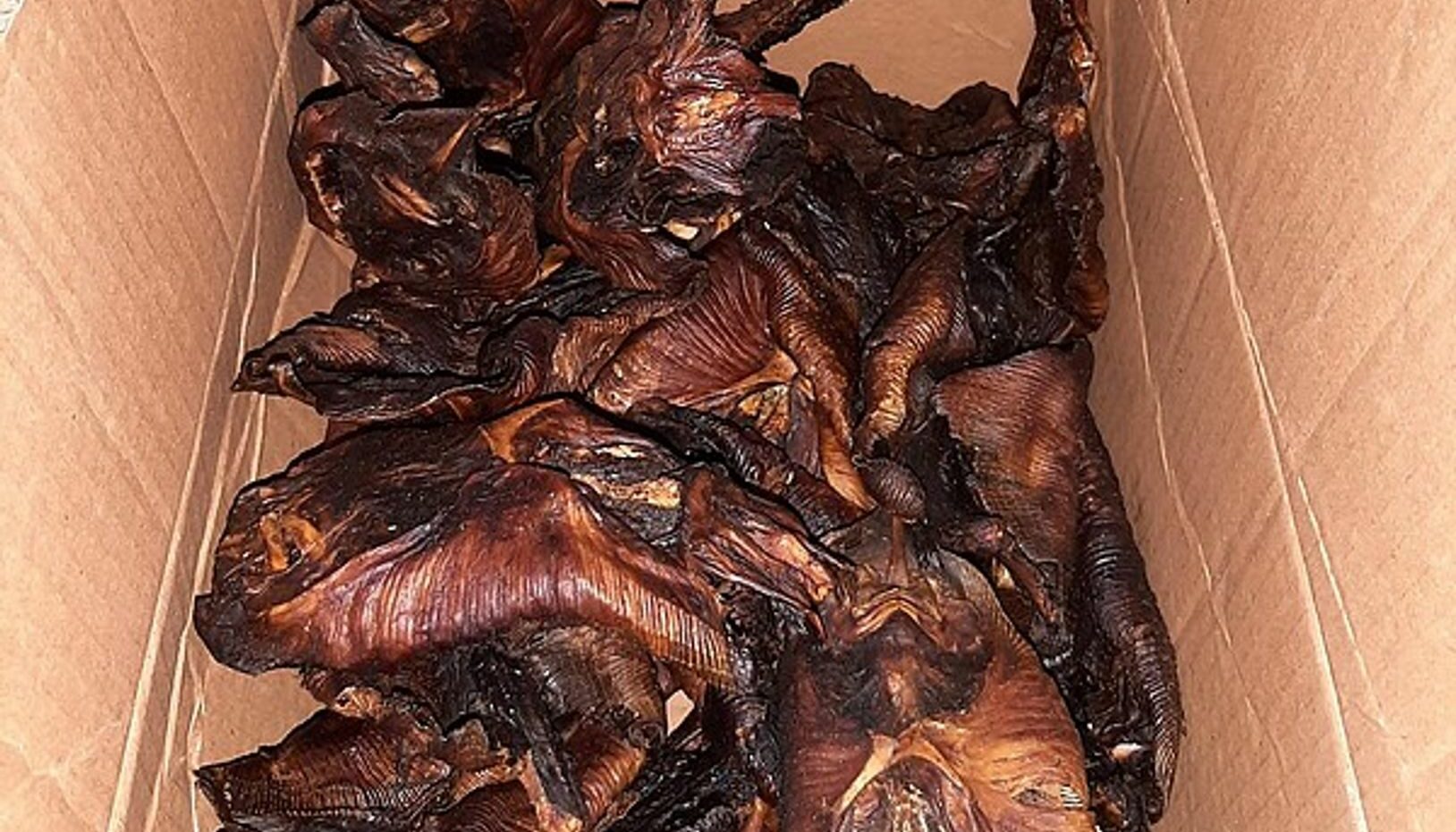 Bundespolizei beschlagnahmt gebratene Fledermäuse