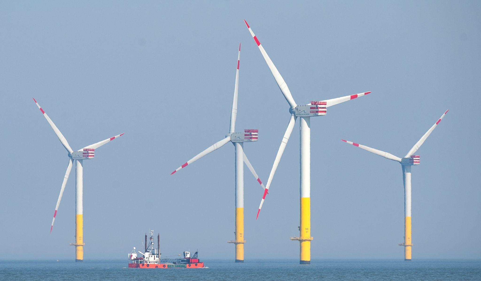 Studie: Windparks verdrängen Seetaucher