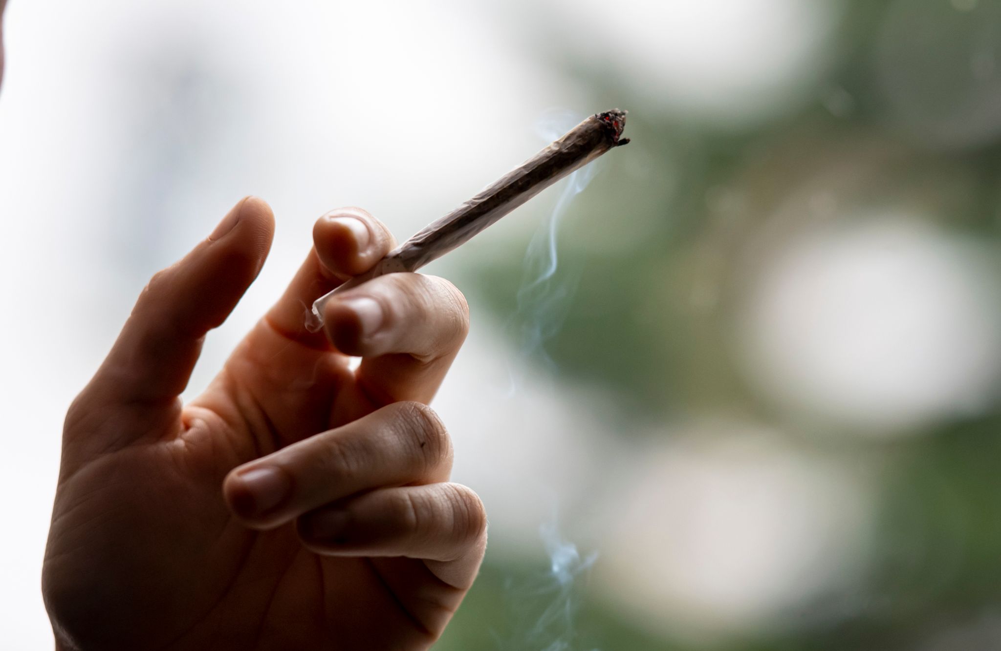 Wann kommt die Cannabis-Legalisierung?