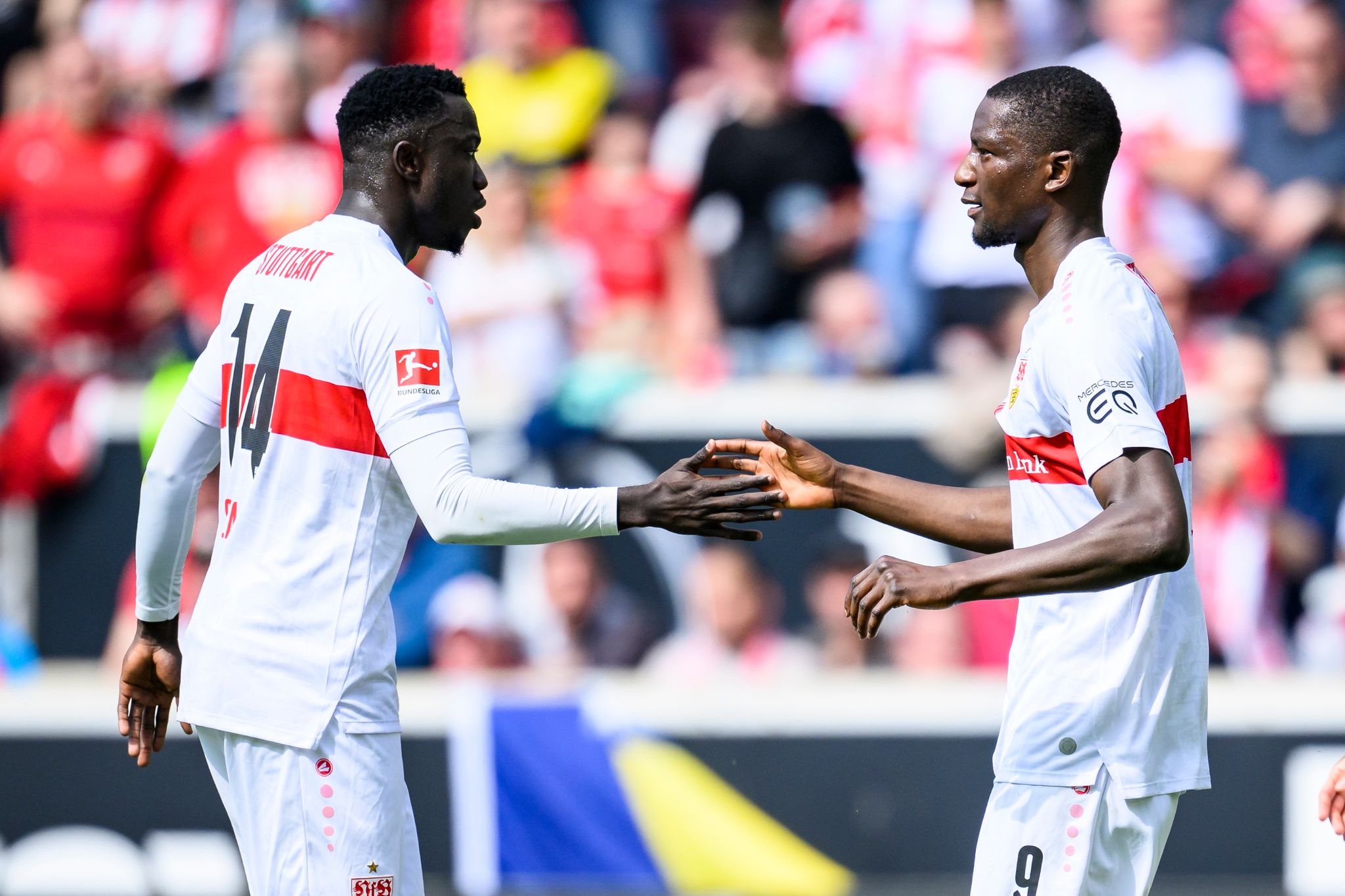 Guirassy per Hacke: VfB jubelt gegen Gladbach