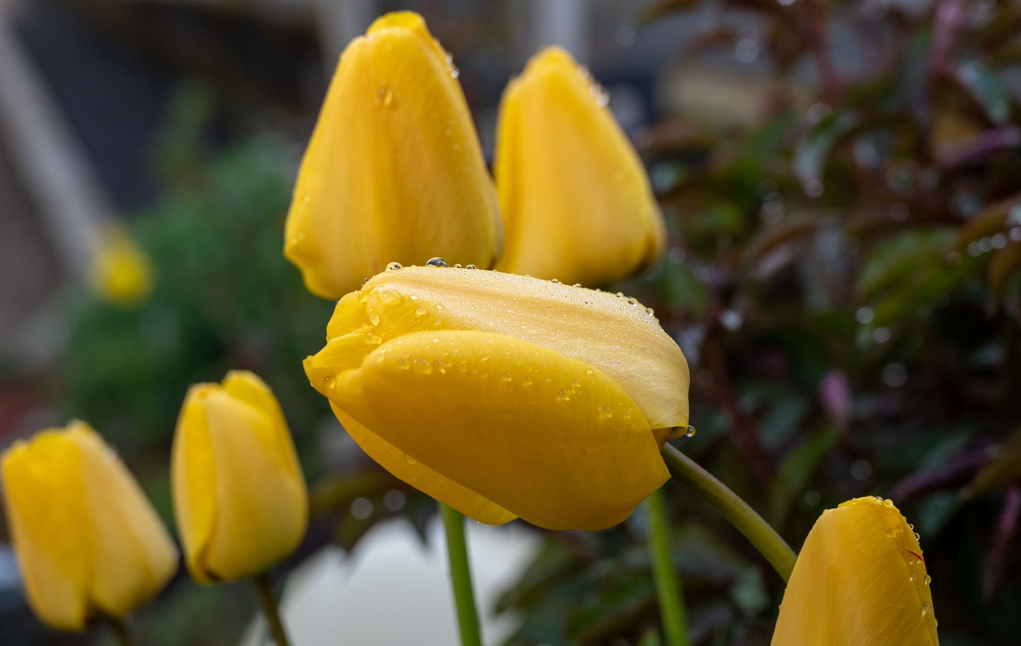 Mildes Wetter am Sonntag – Zur neuen Woche wird es kühler