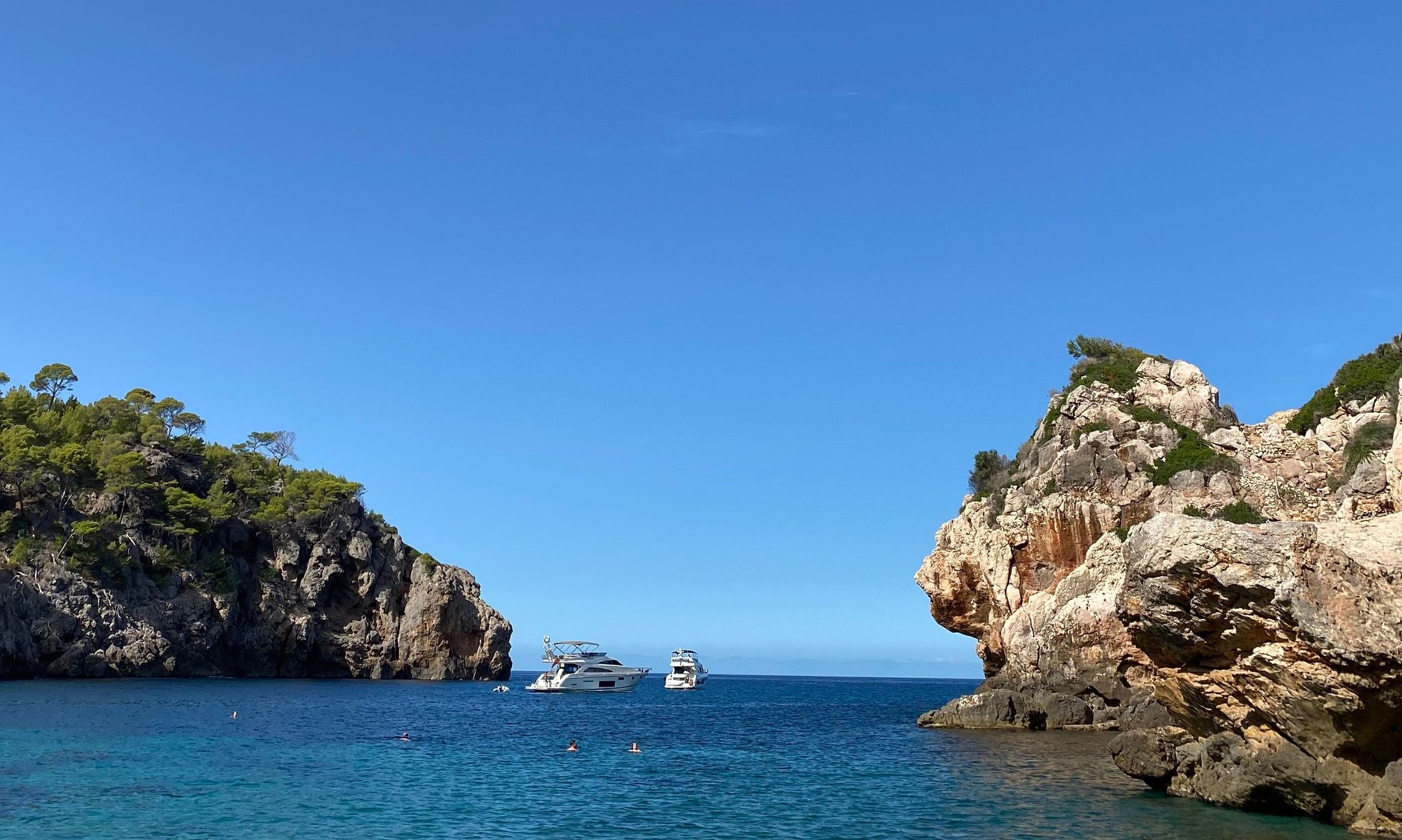 Hai verirrt sich an Strand von Mallorca