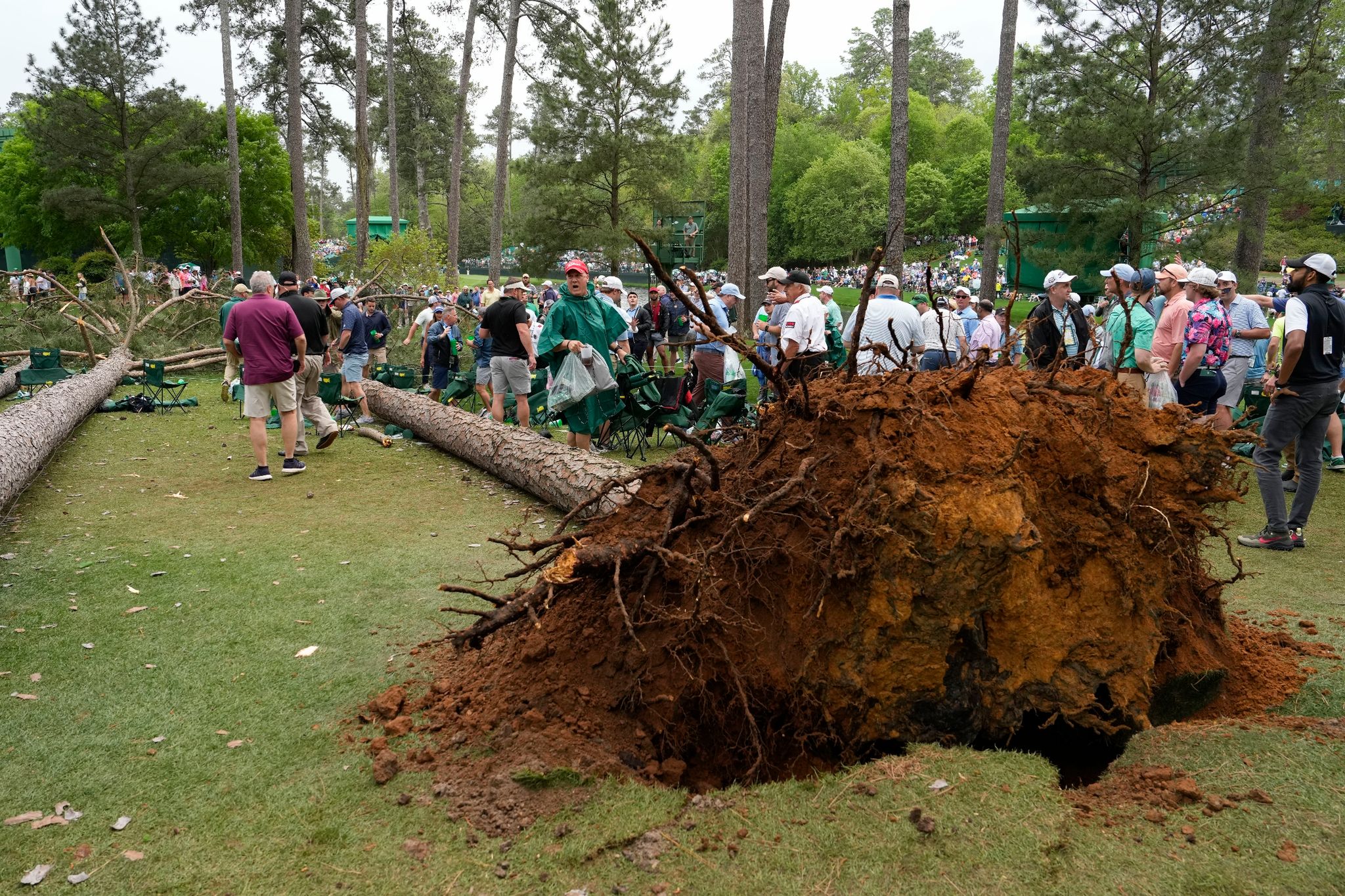 Masters in Augusta entgeht bei Baumsturz knapp einem Drama