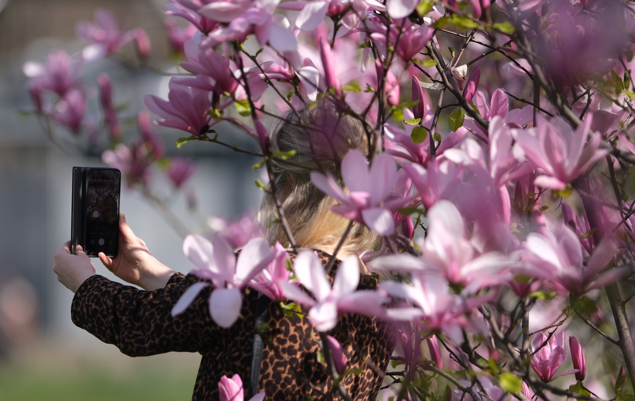 Bearbeitete Fotos können Wahrnehmung verzerren