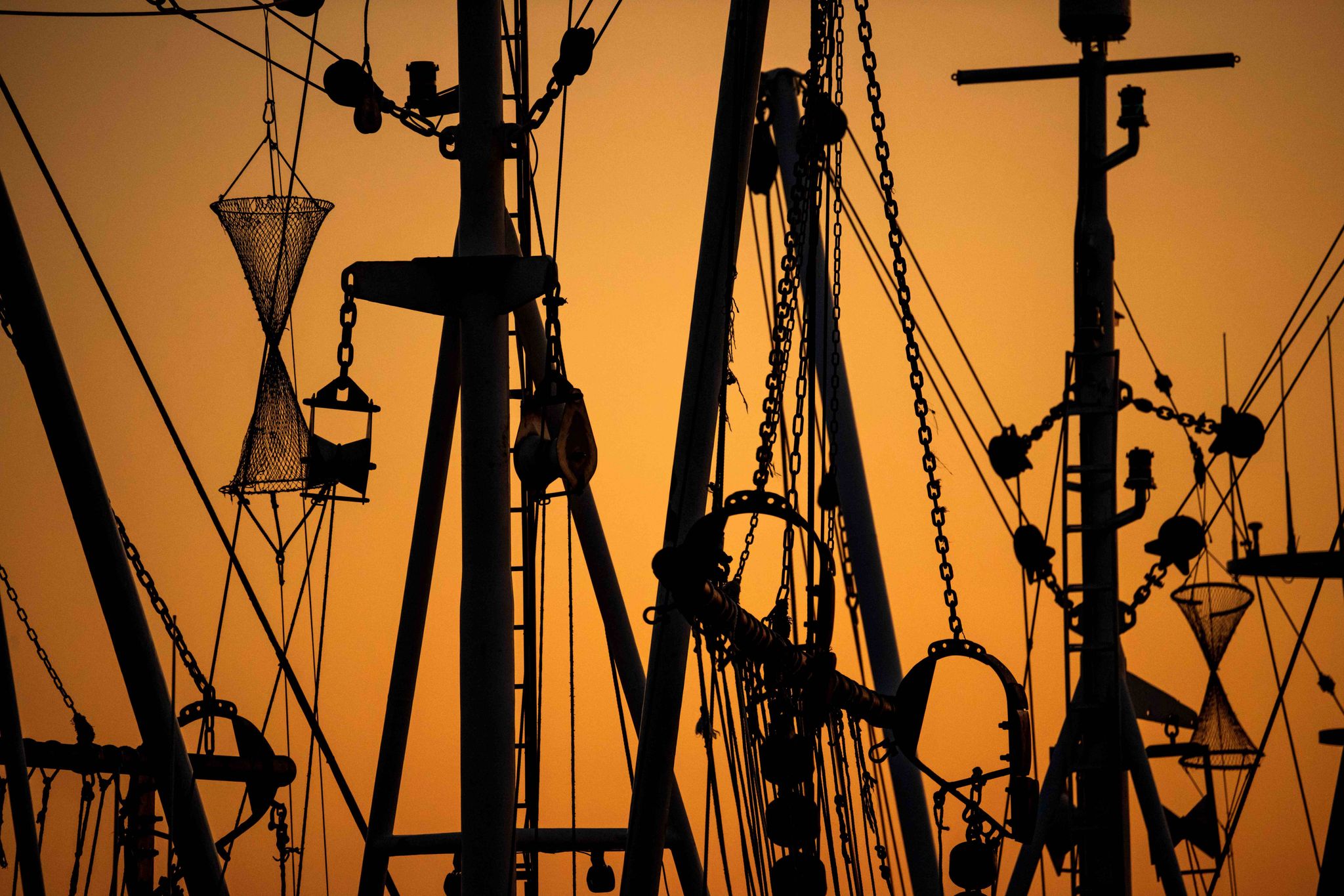 Strengere Kontrollen gegen Überfischung in der EU 