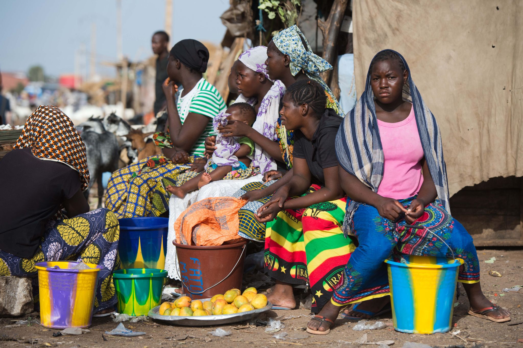 Militärjunta in Mali plant Verfassungsreferendum