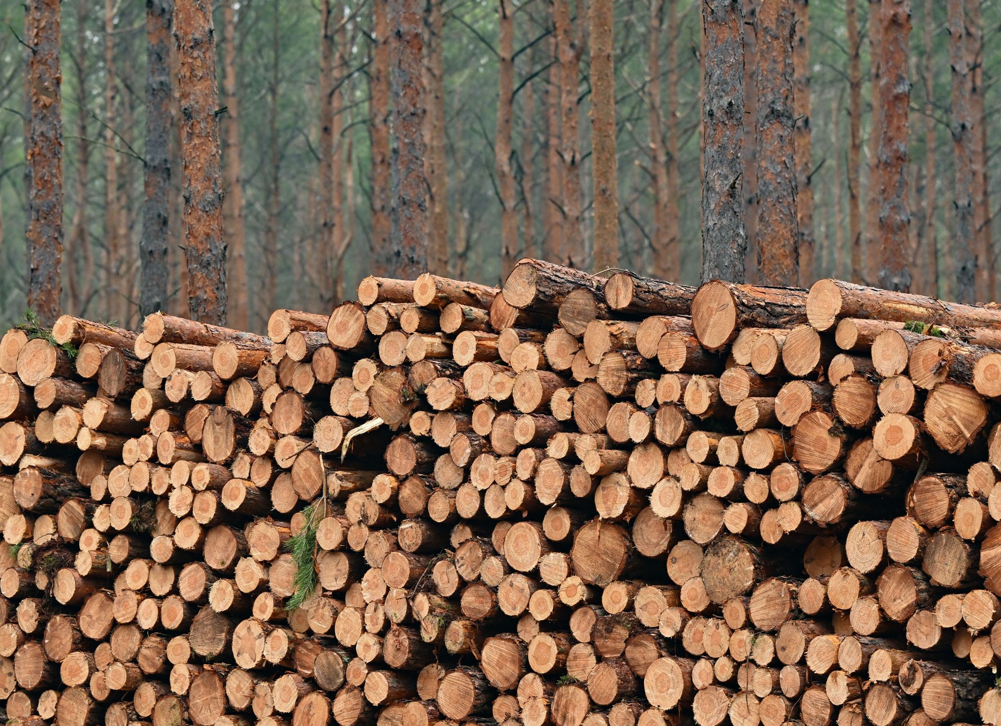 Deutscher Erdüberlastungstag: Ressourcen für 2023 verbraucht