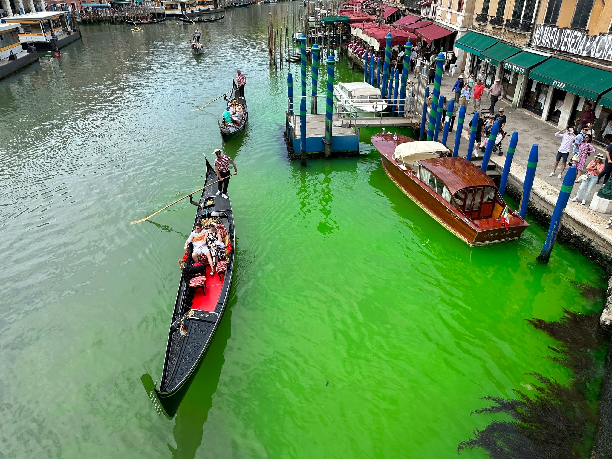Grüner Canal Grande in Venedig: Grund wohl klar