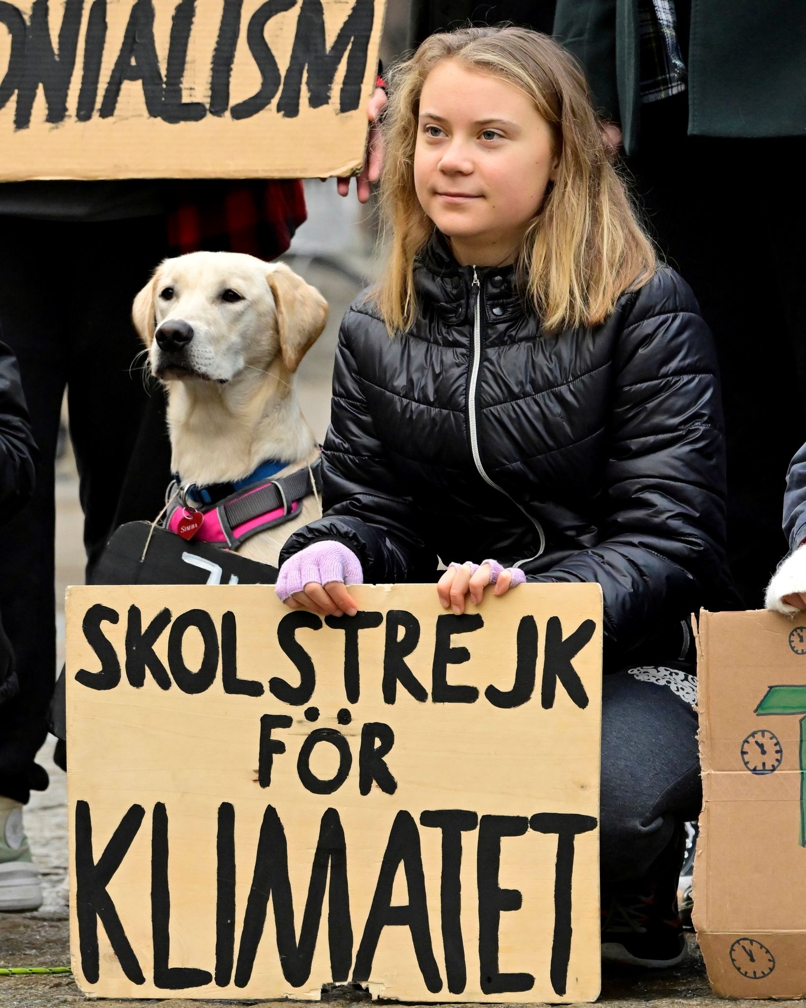 Thunbergs letzter «Schulstreik fürs Klima»