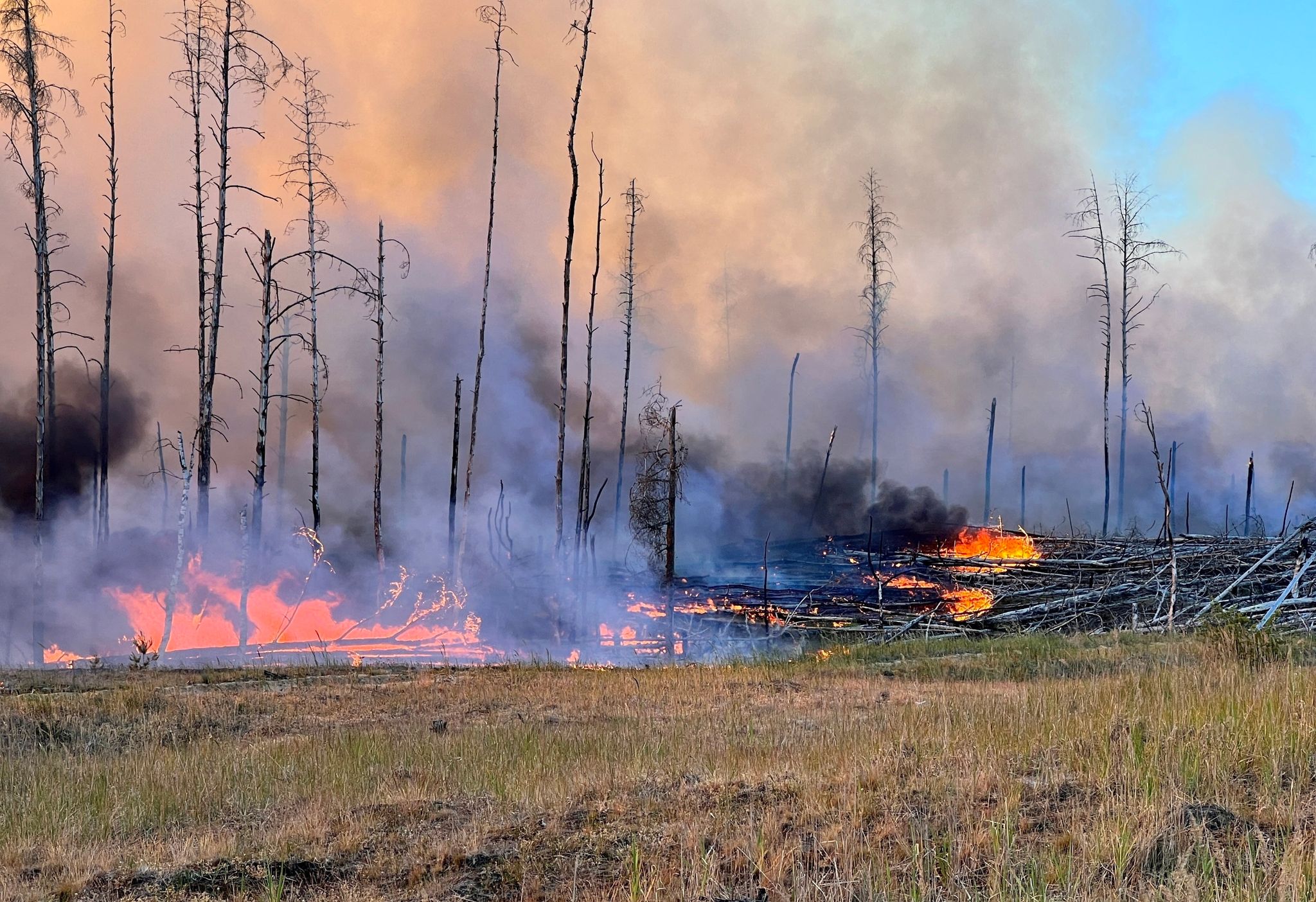 Umweltbundesamt: Feinstaub macht Waldbrand-Rauch gefährlich