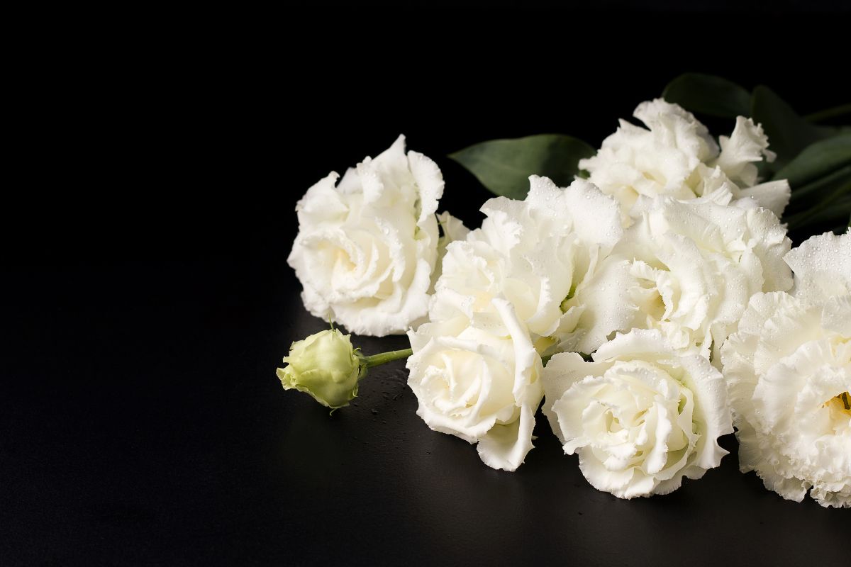 Pop-Star tot in Haus aufgefunden