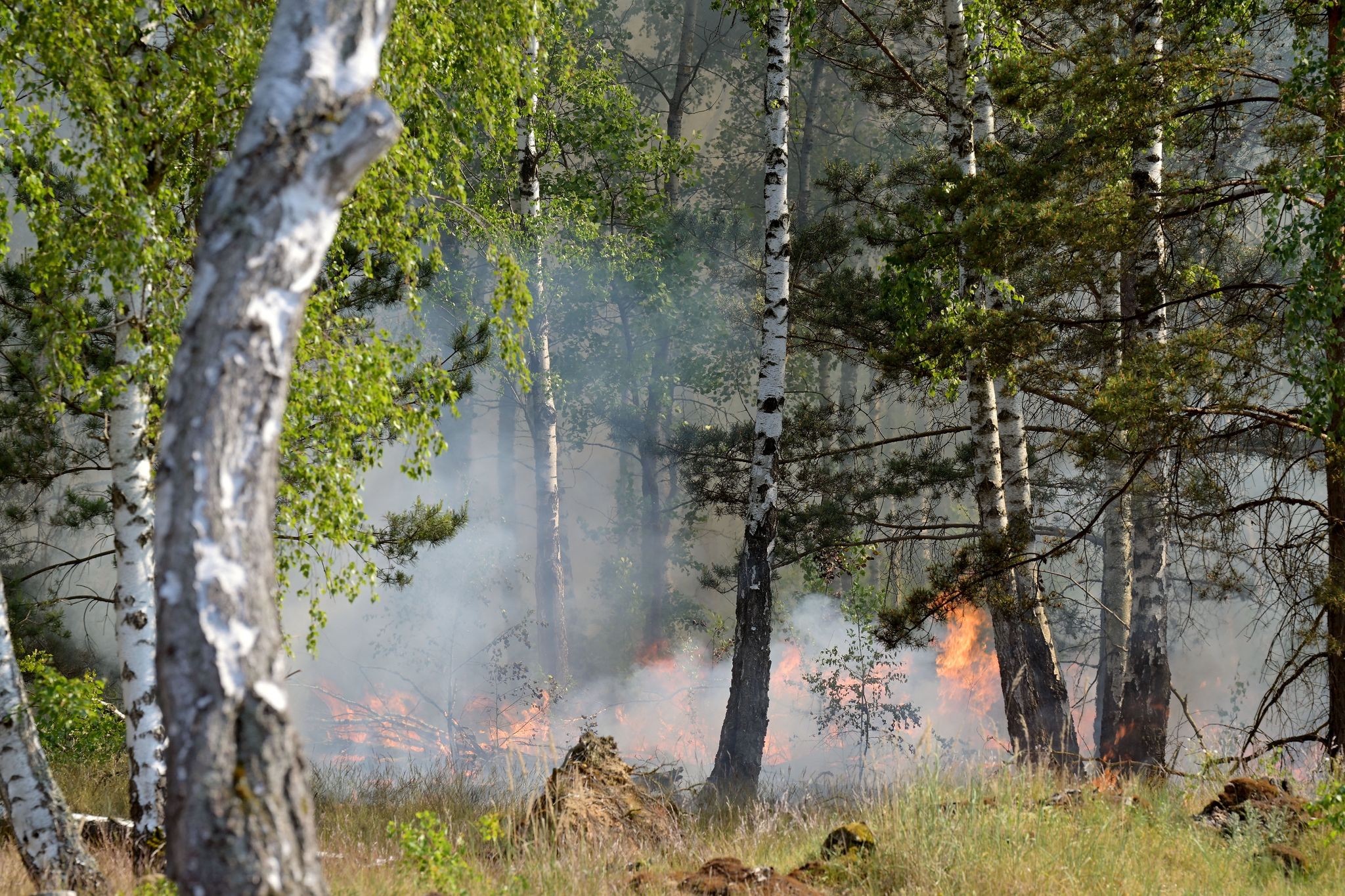 Waldbrand bei Jüterbog ausgeweitet – Gefahr in Nordsachsen