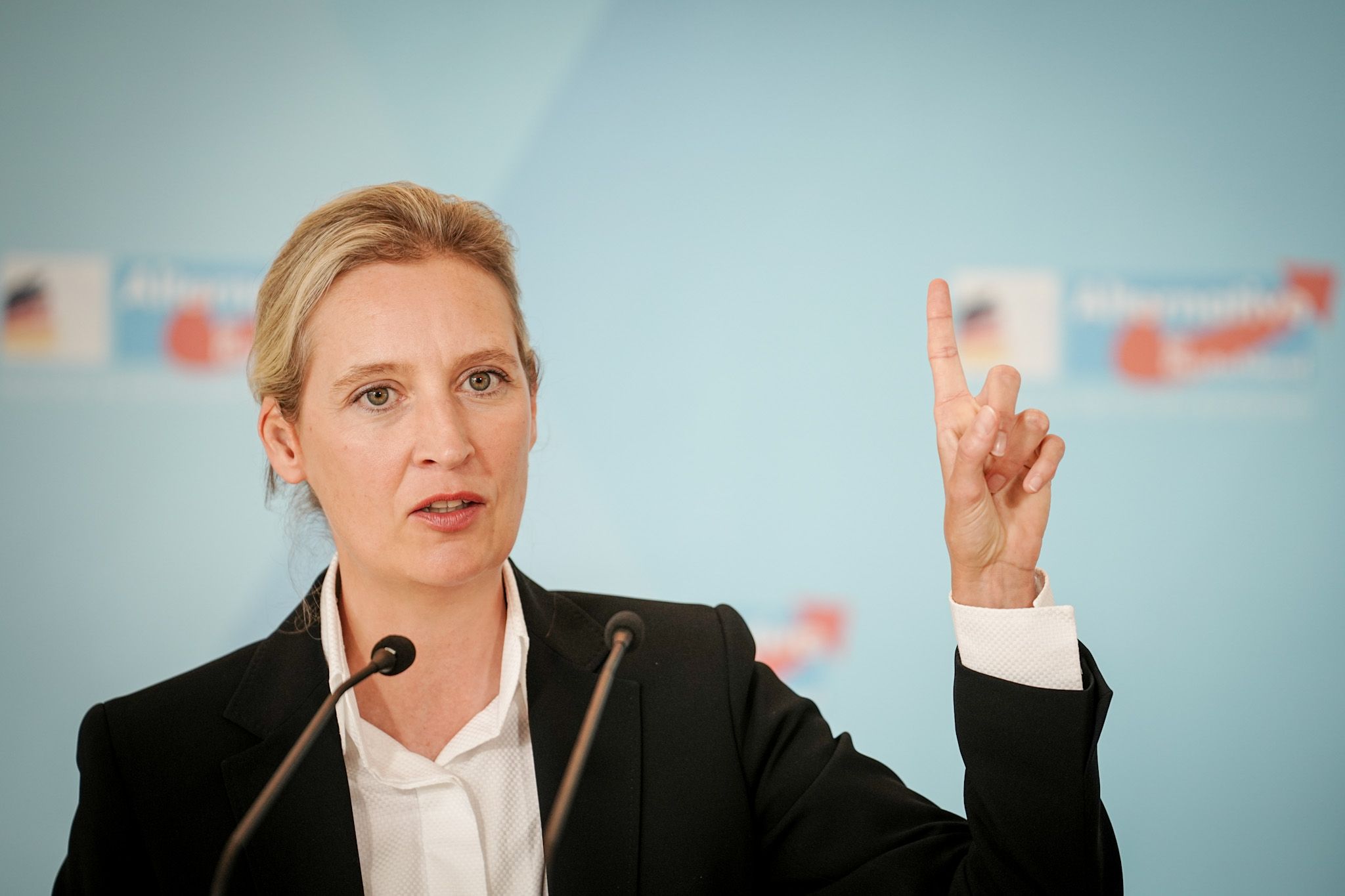 Weidel würde CDU-Minderheitsregierung unterstützen