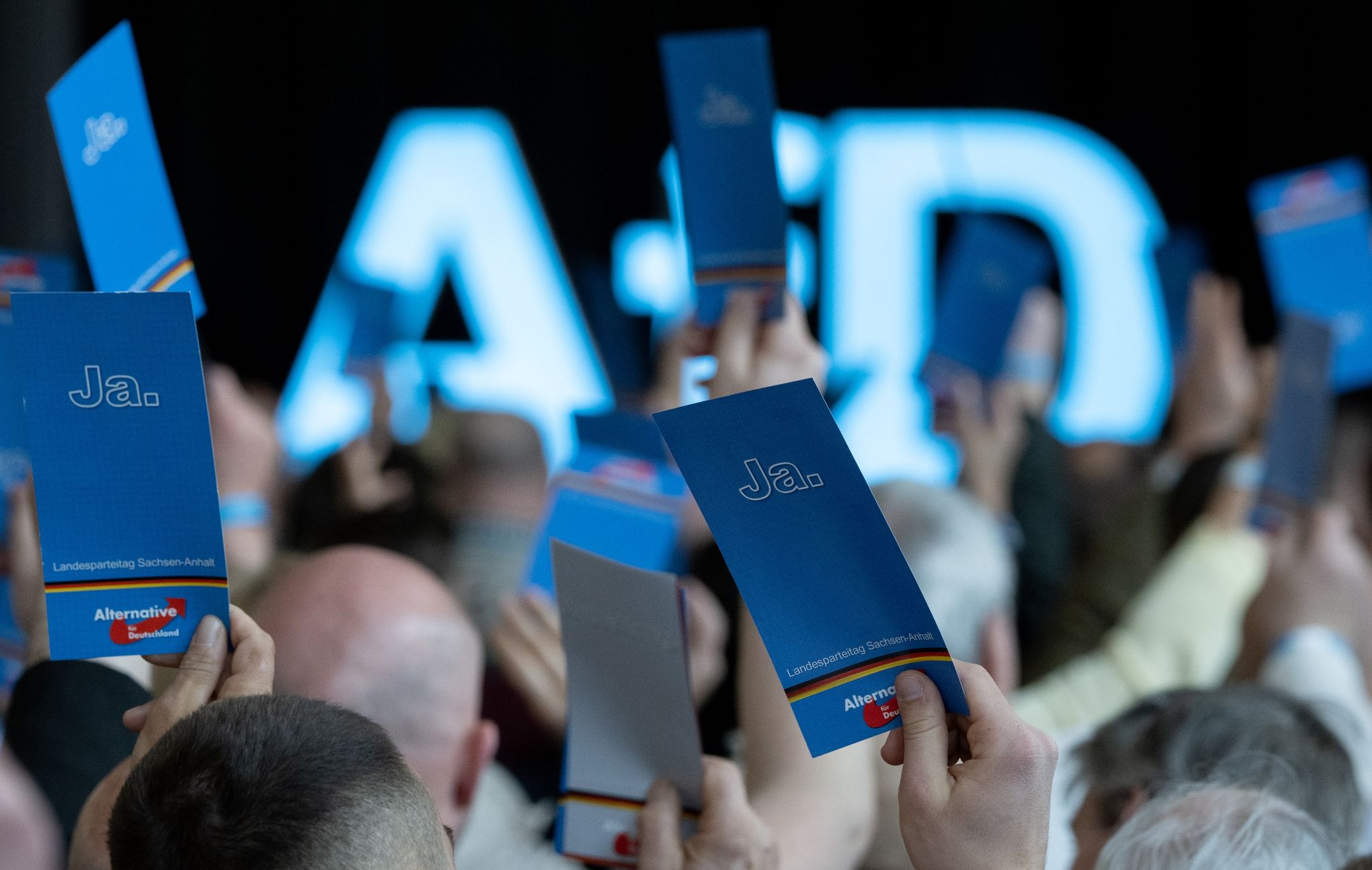 Fridays for Future sendet 101 Klima-Fragen an die FDP