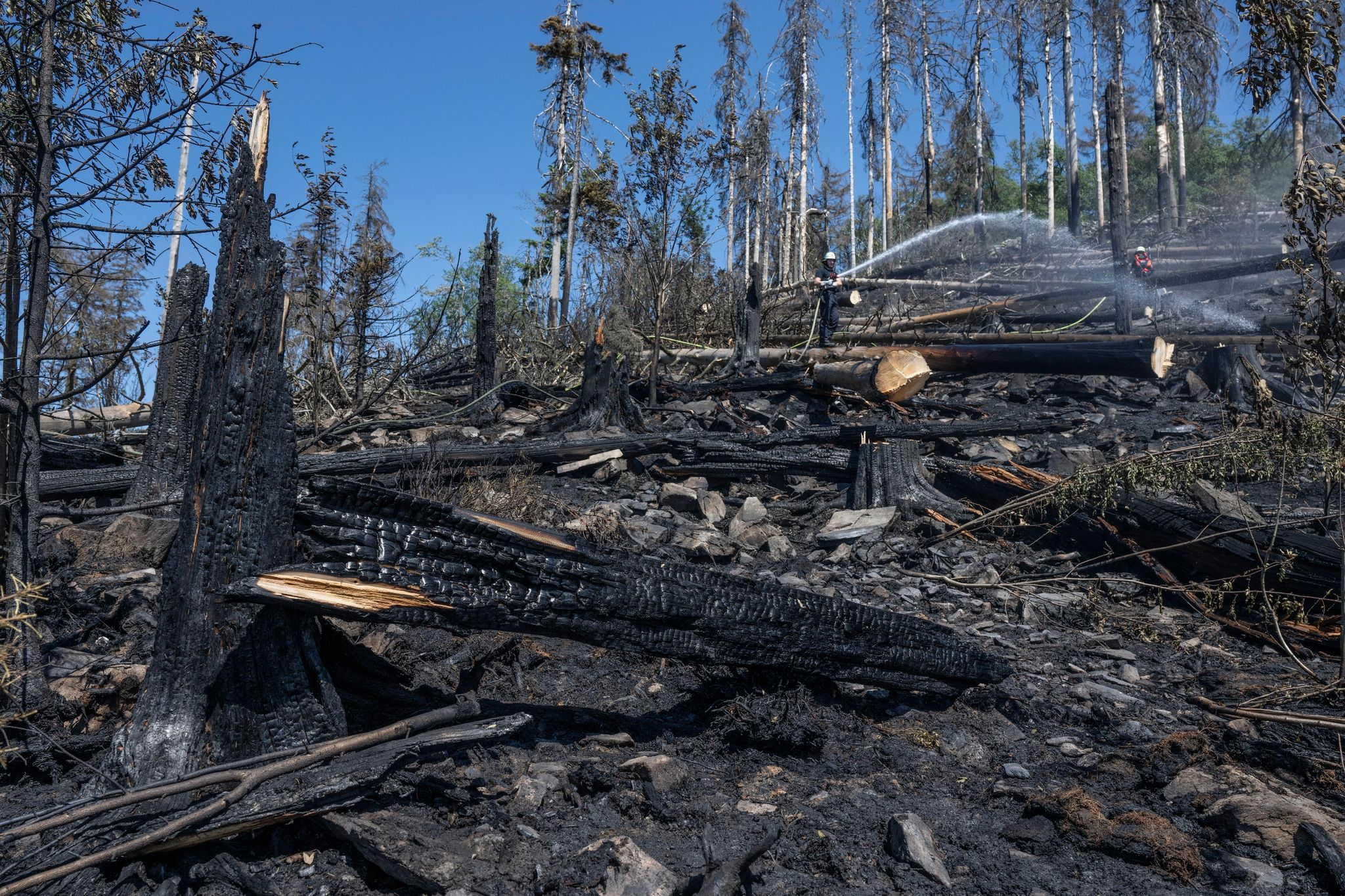 So hat sich die Zahl der Waldbrände in Deutschland verändert