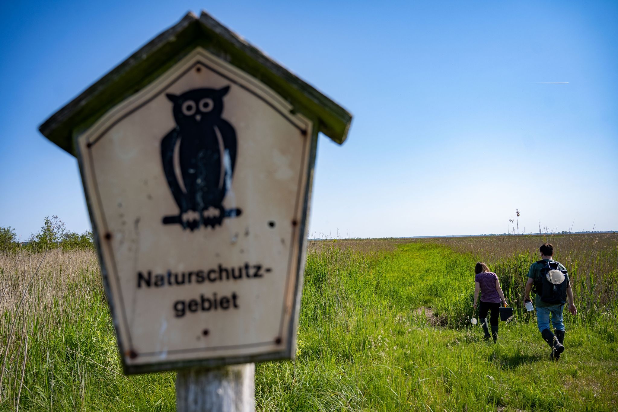 Weitreichendes EU-Naturschutzgesetz droht zu scheitern