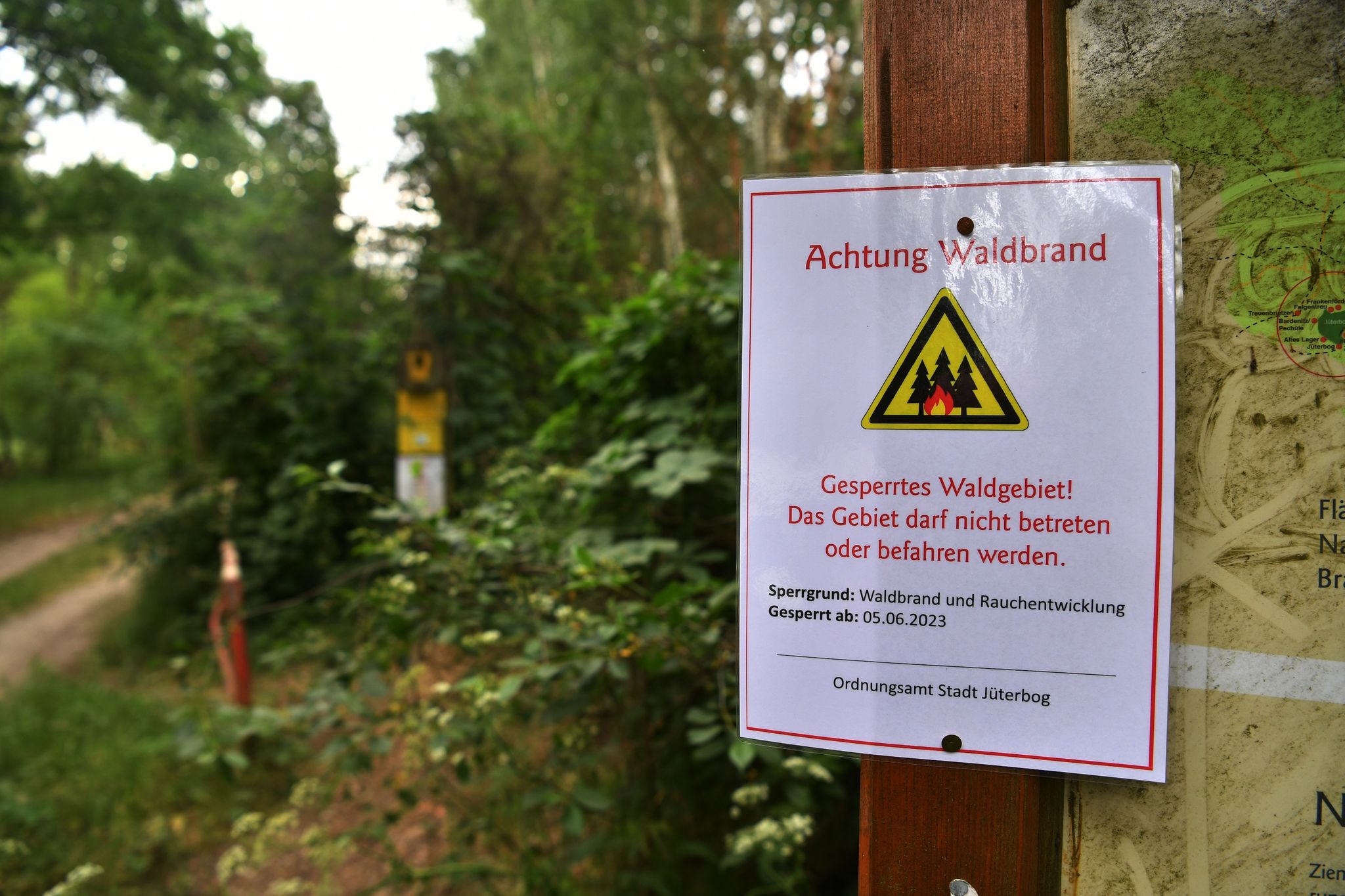 Wind hat Waldbrand in Brandenburg wieder angefacht