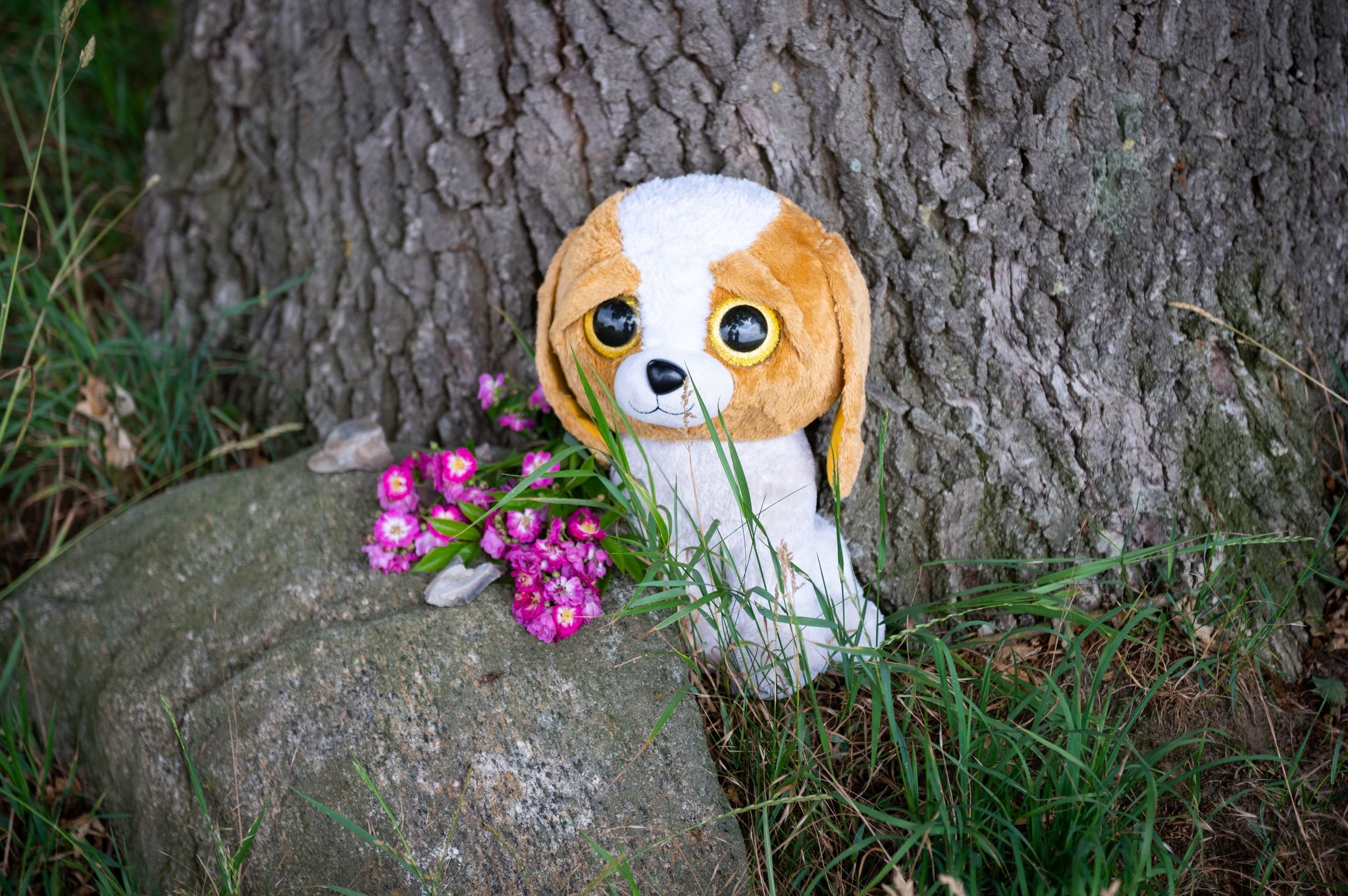 Alle Kinder nach Radlader-Unglück außer Lebensgefahr