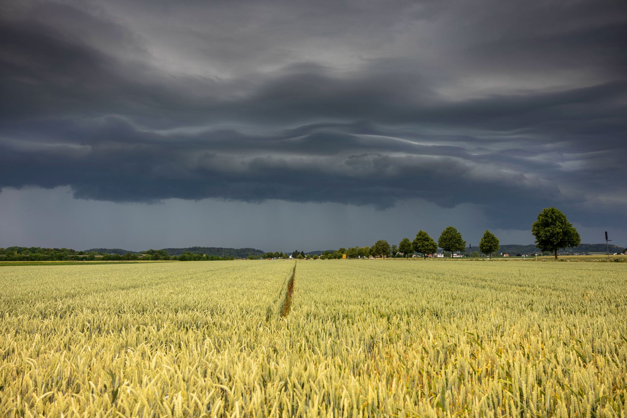 Unwetter-Warnung für Deutschland – Hagel und Tornados