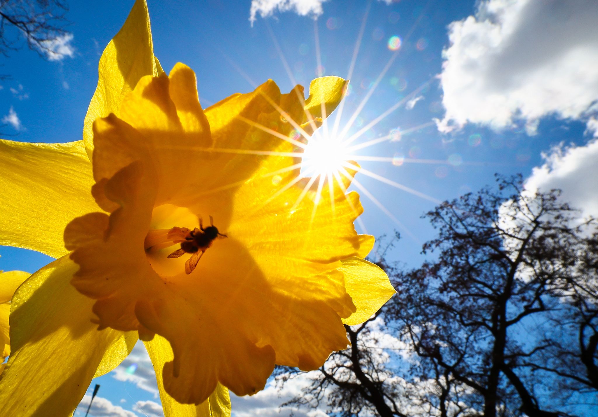 DWD: Juni 2023 war zweitsonnigster seit Aufzeichnungsbeginn
