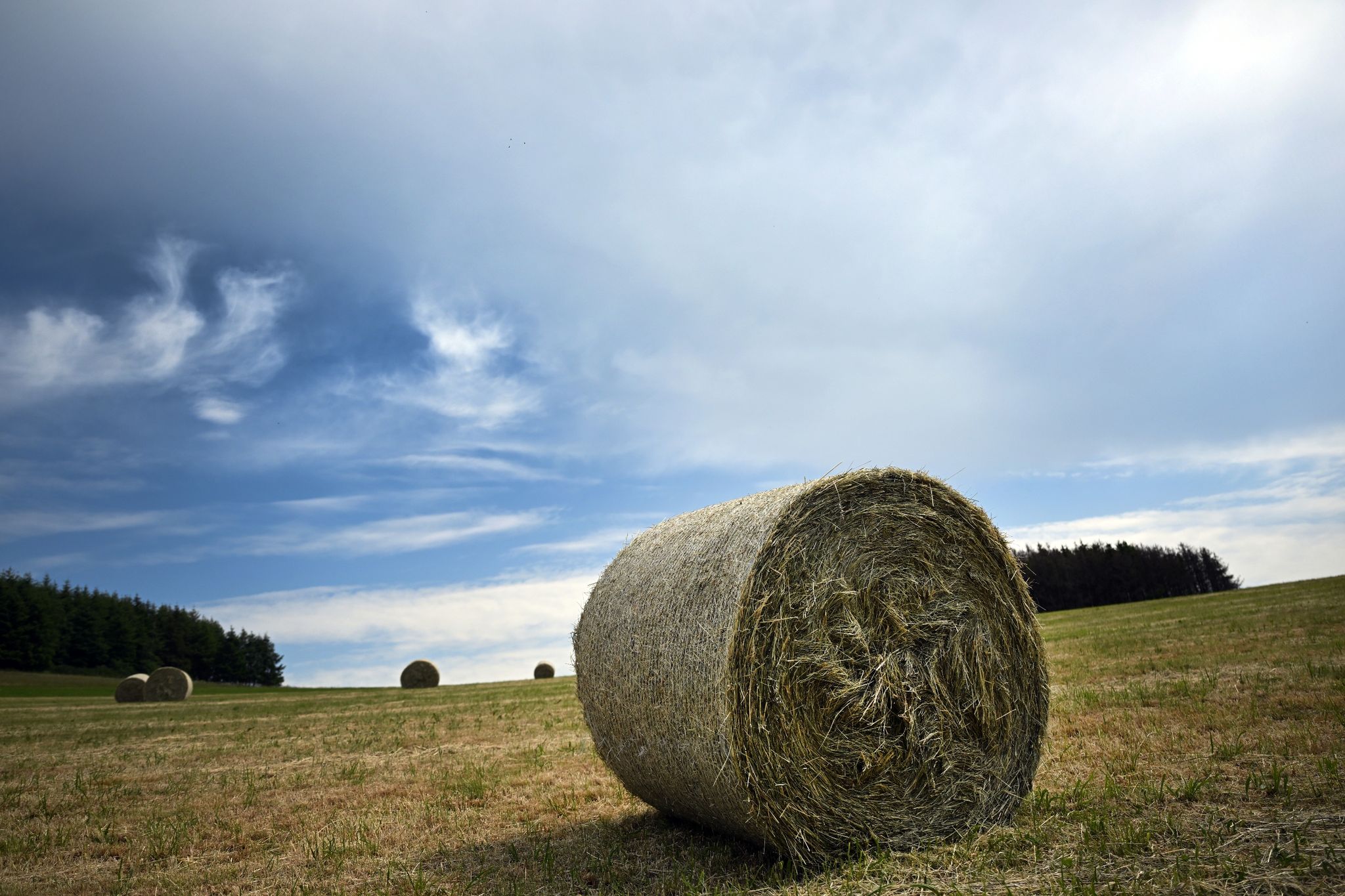 Erster heißer Tag des Jahres über 30 Grad erwartet