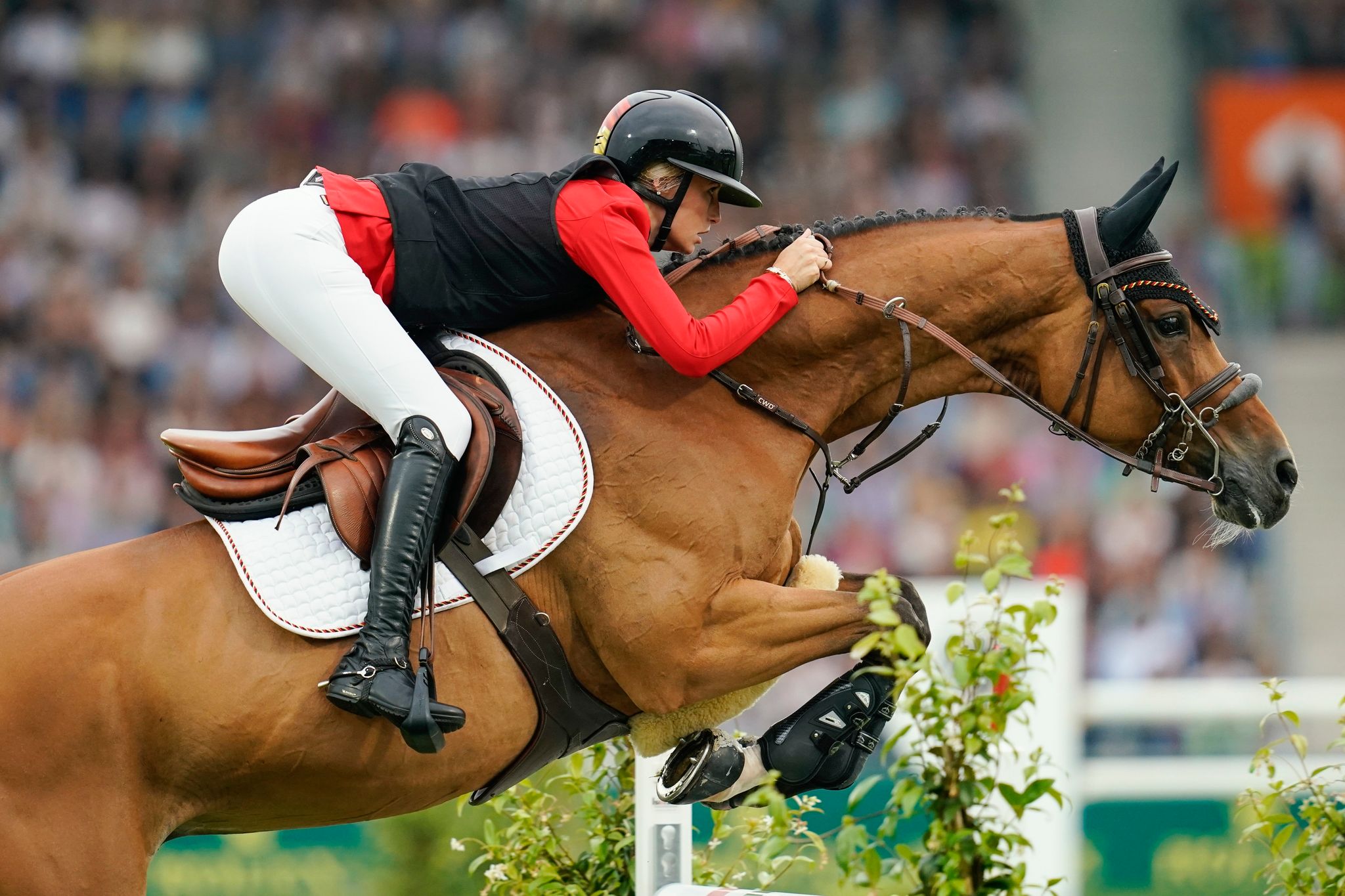 CHIO-Fans feiern Wargers-Heimsieg im NRW-Preis