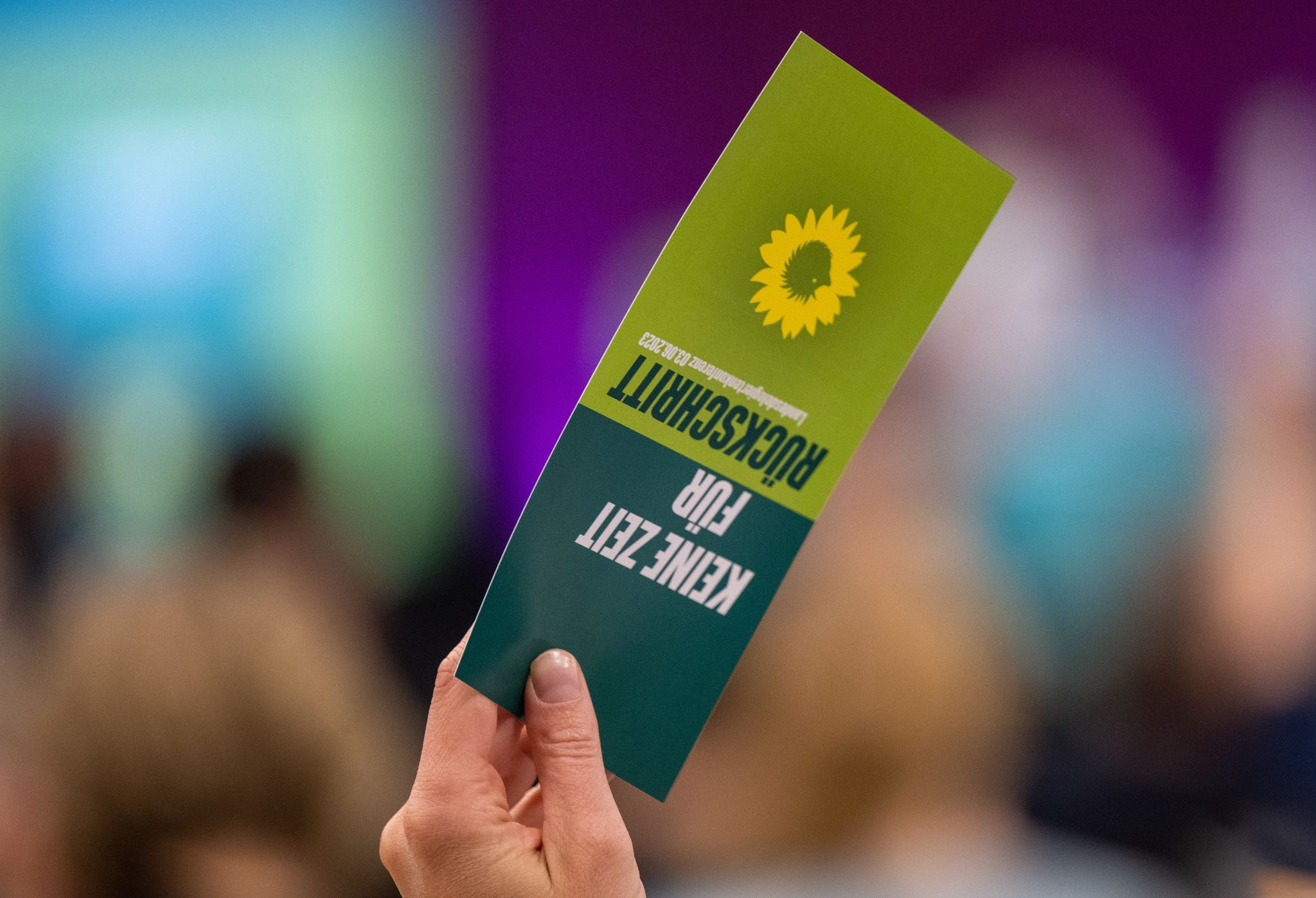 Grüne raufen sich nach Asylstreit zusammen
