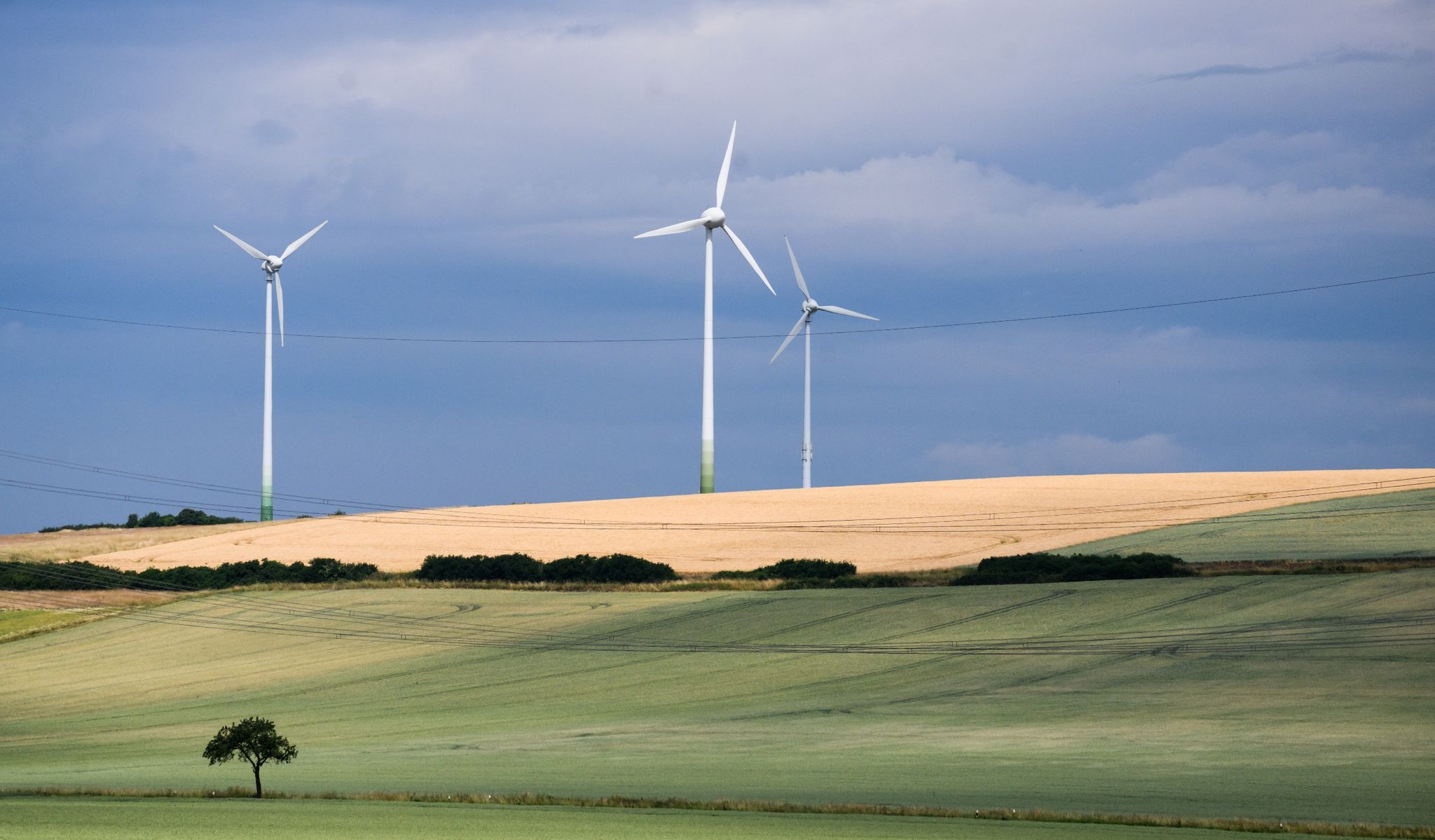 Regen und Gewitter: Wetter kühlt zum Wochenstart etwas ab