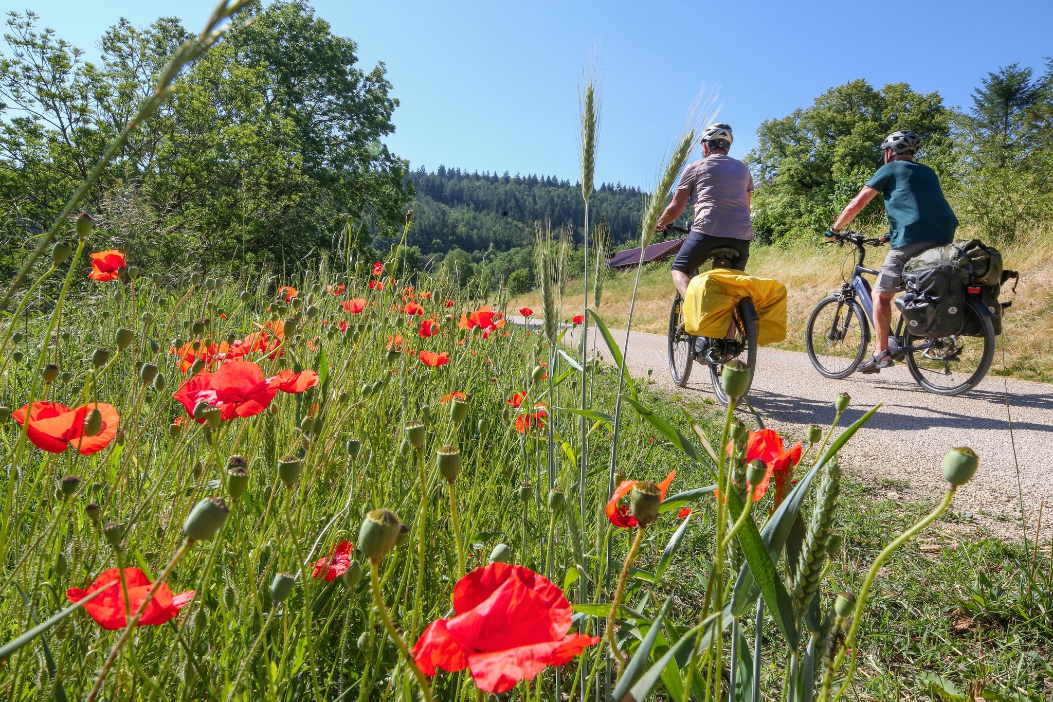 Wetter: Tief Marcellinus bringt Abkühlung
