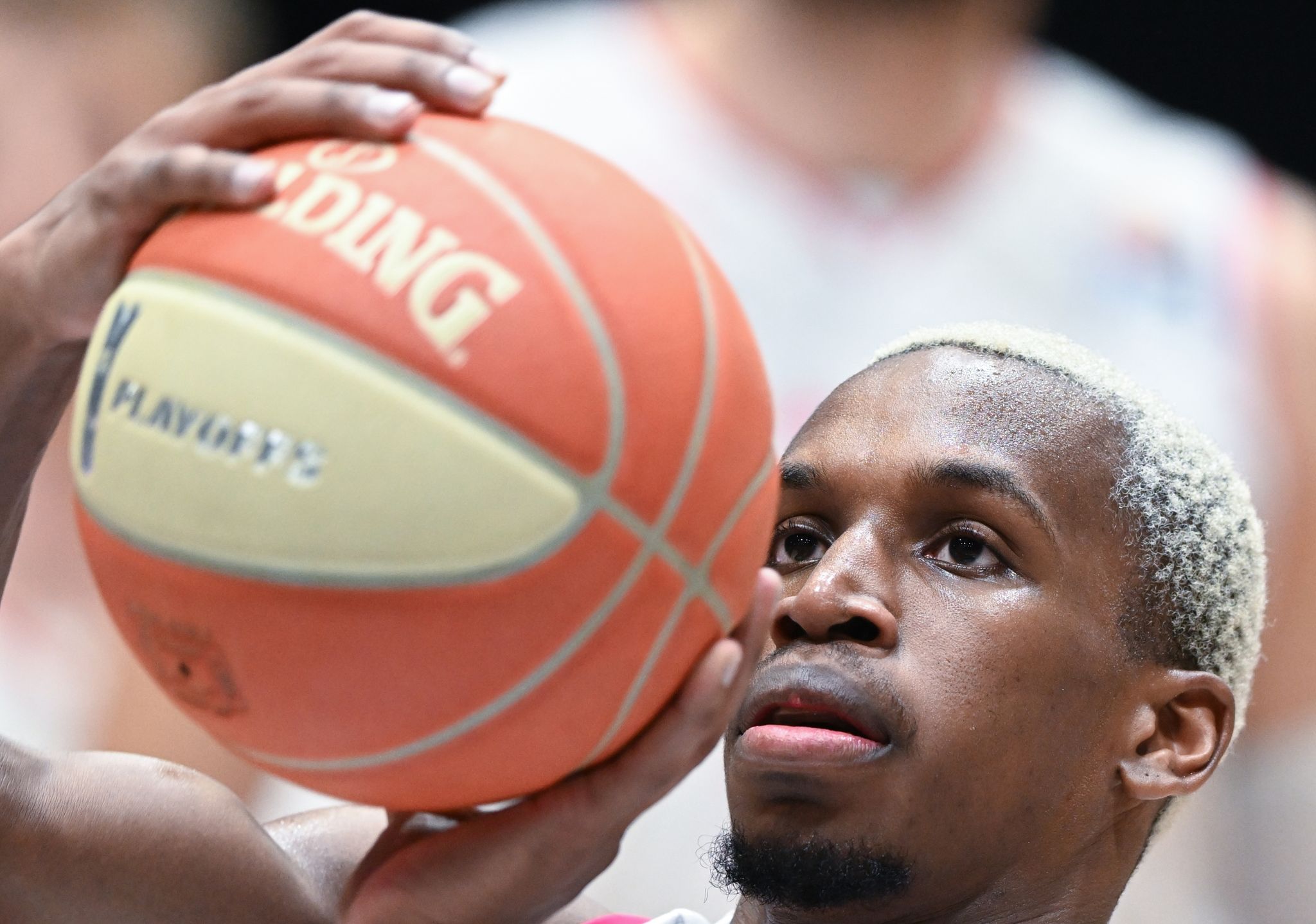 Premieren-Meister gesucht: Bonn gegen Ulm