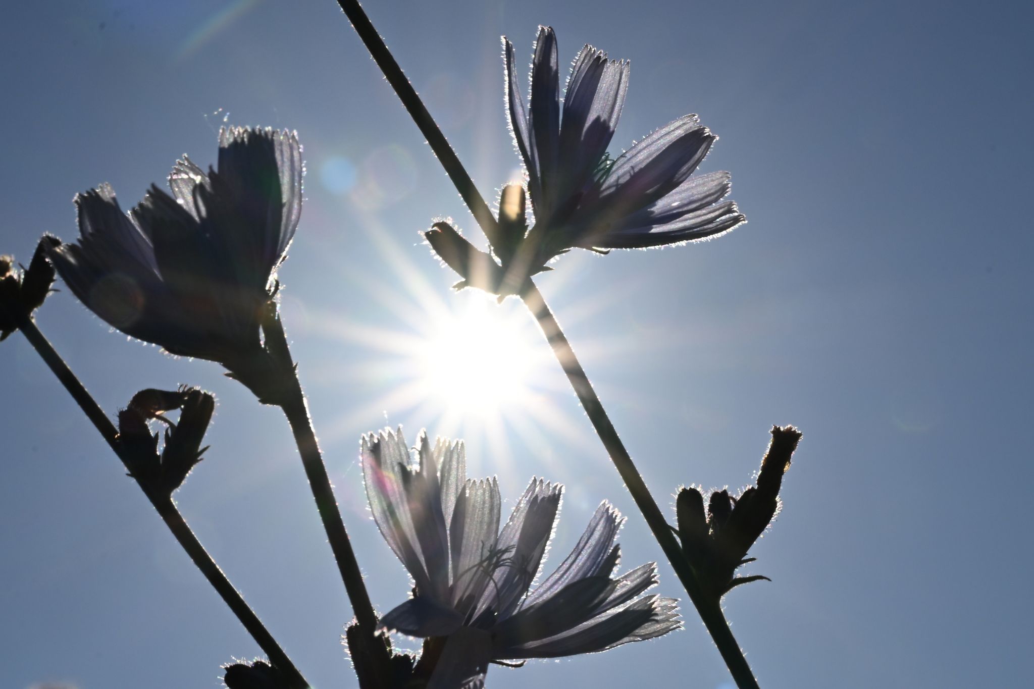 Europa Sommer 2022: Mehr als 60.000 hitzebezogene Todesfälle