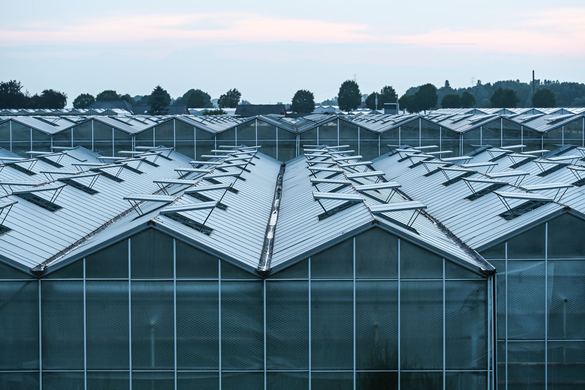 Spanien bleibt wichtigster Lieferant für Obst und Gemüse
