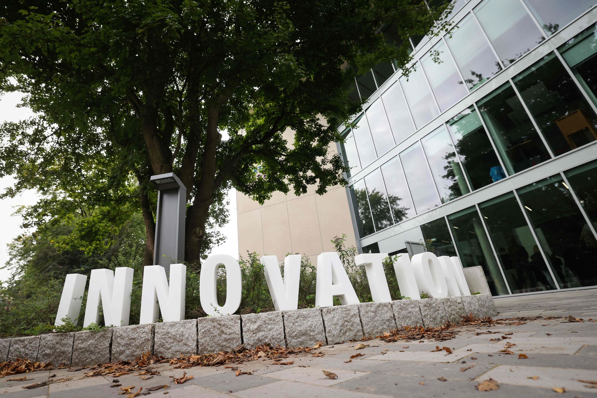 Start-up-Gründungen legen deutlich zu