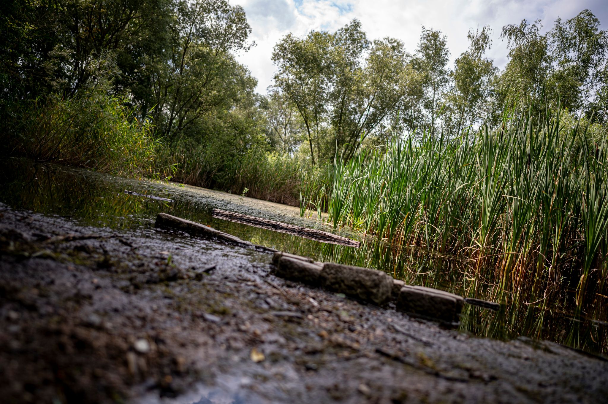 Künstliche Grundwasseranreicherung Lösung bei Dürre?