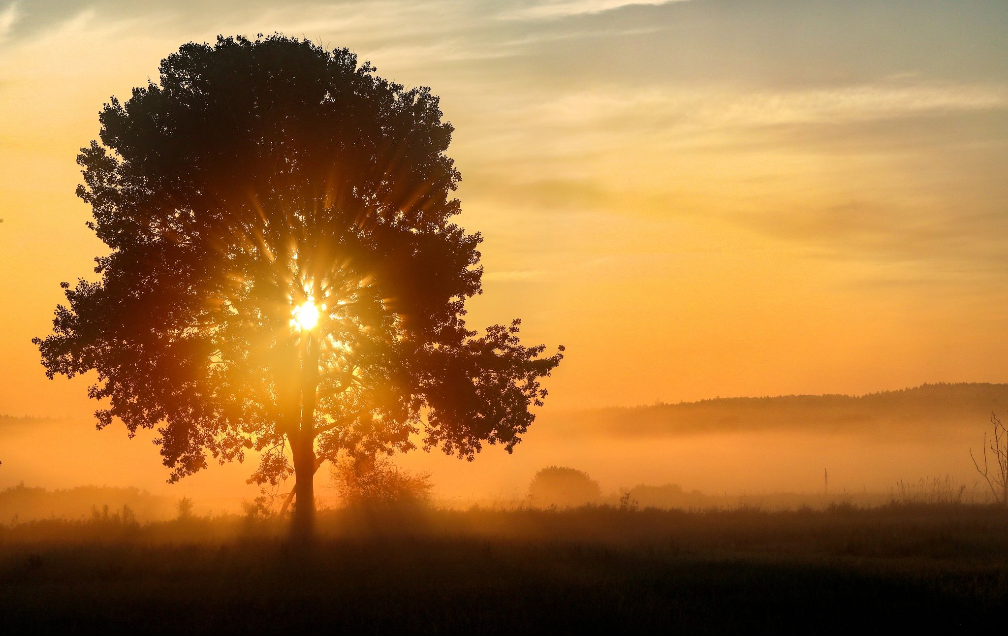 Mega-Partys bei Mega-Wetter – ein Wochenende im Hitzetaumel