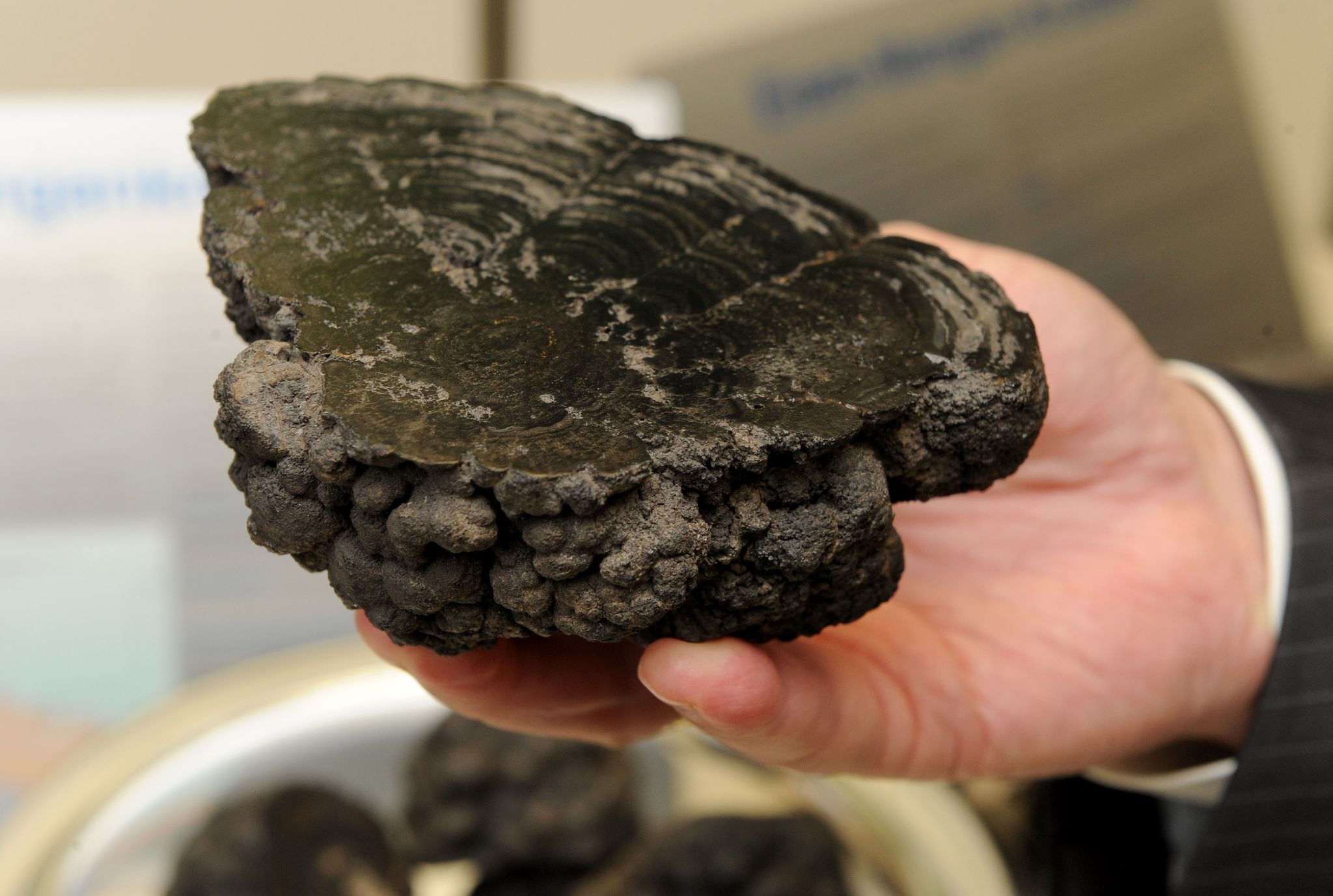 Tiefseebergbau: Folgenreiche Frage bleibt unbeantwortet