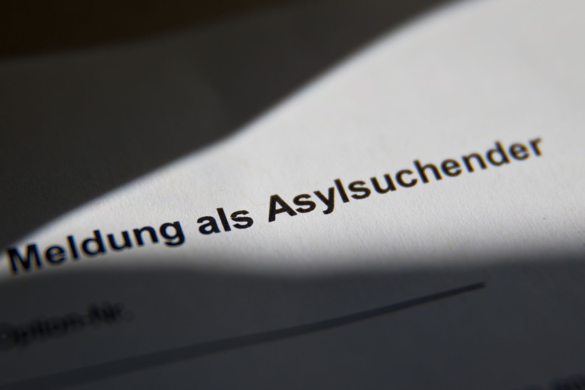 Zahl der Asylsuchenden im ersten Halbjahr gestiegen