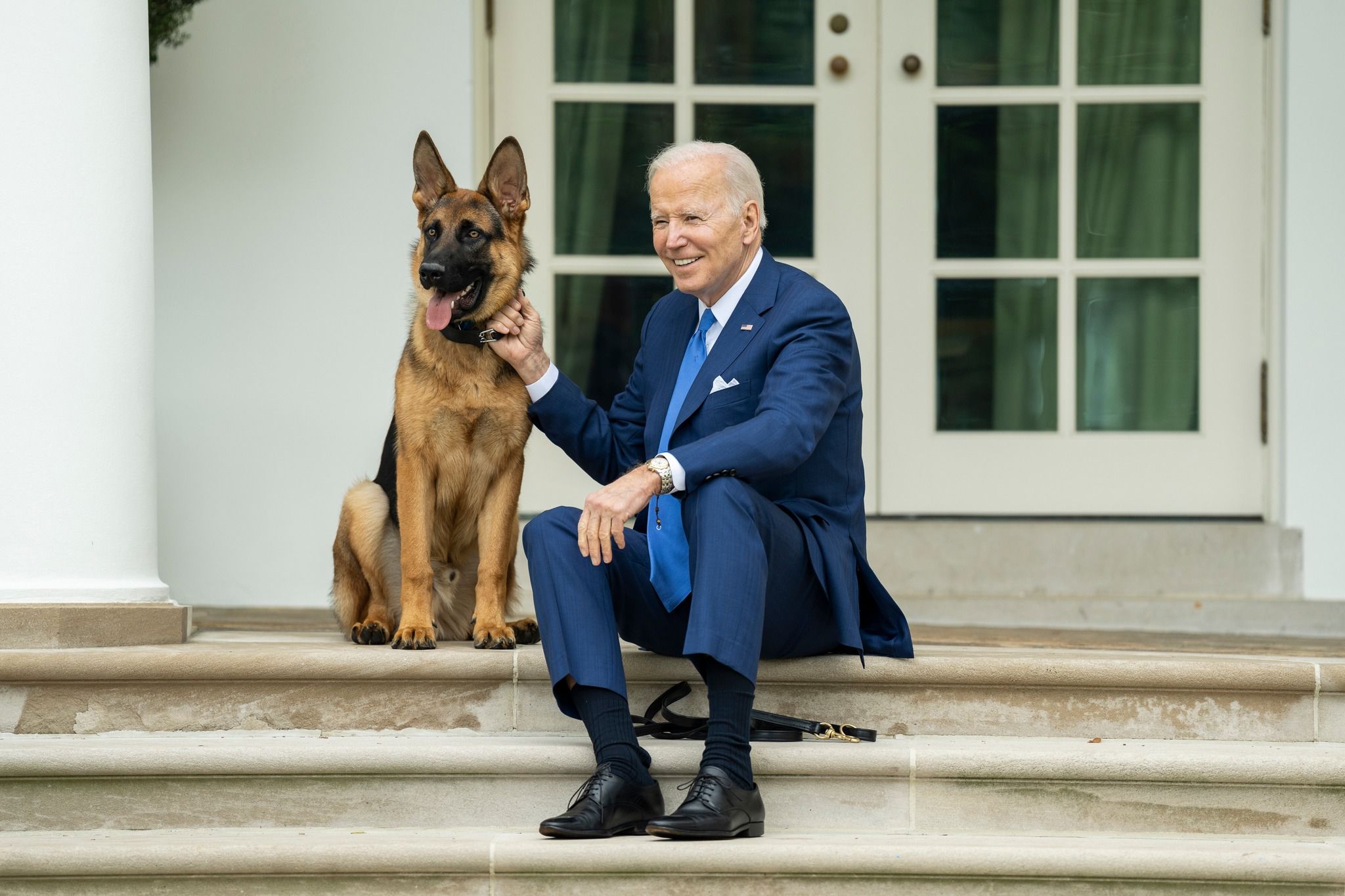 Bisse im Weißen Haus: Biden hat ein Hunde-Problem