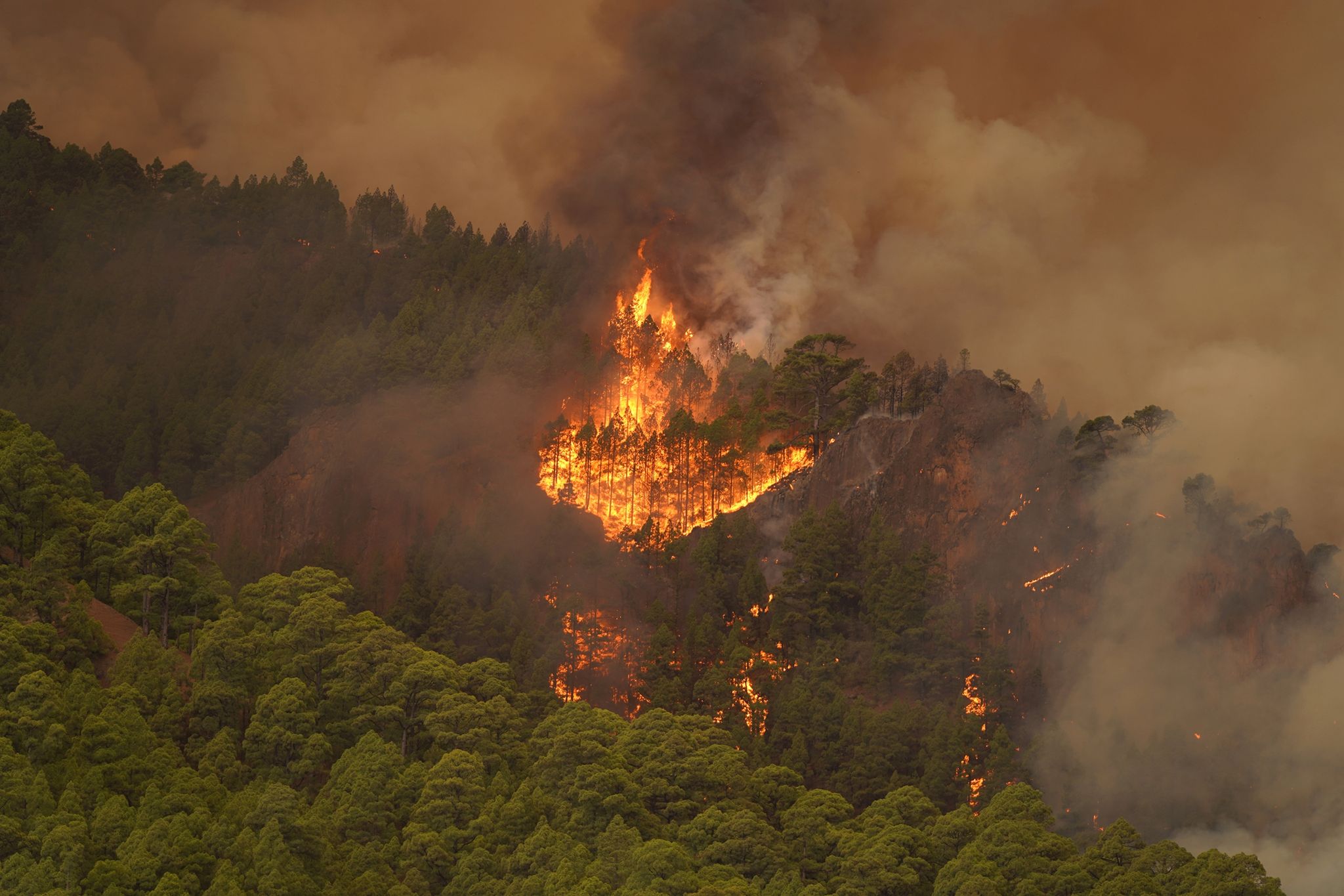 Waldbrand auf Teneriffa breitet sich langsamer aus