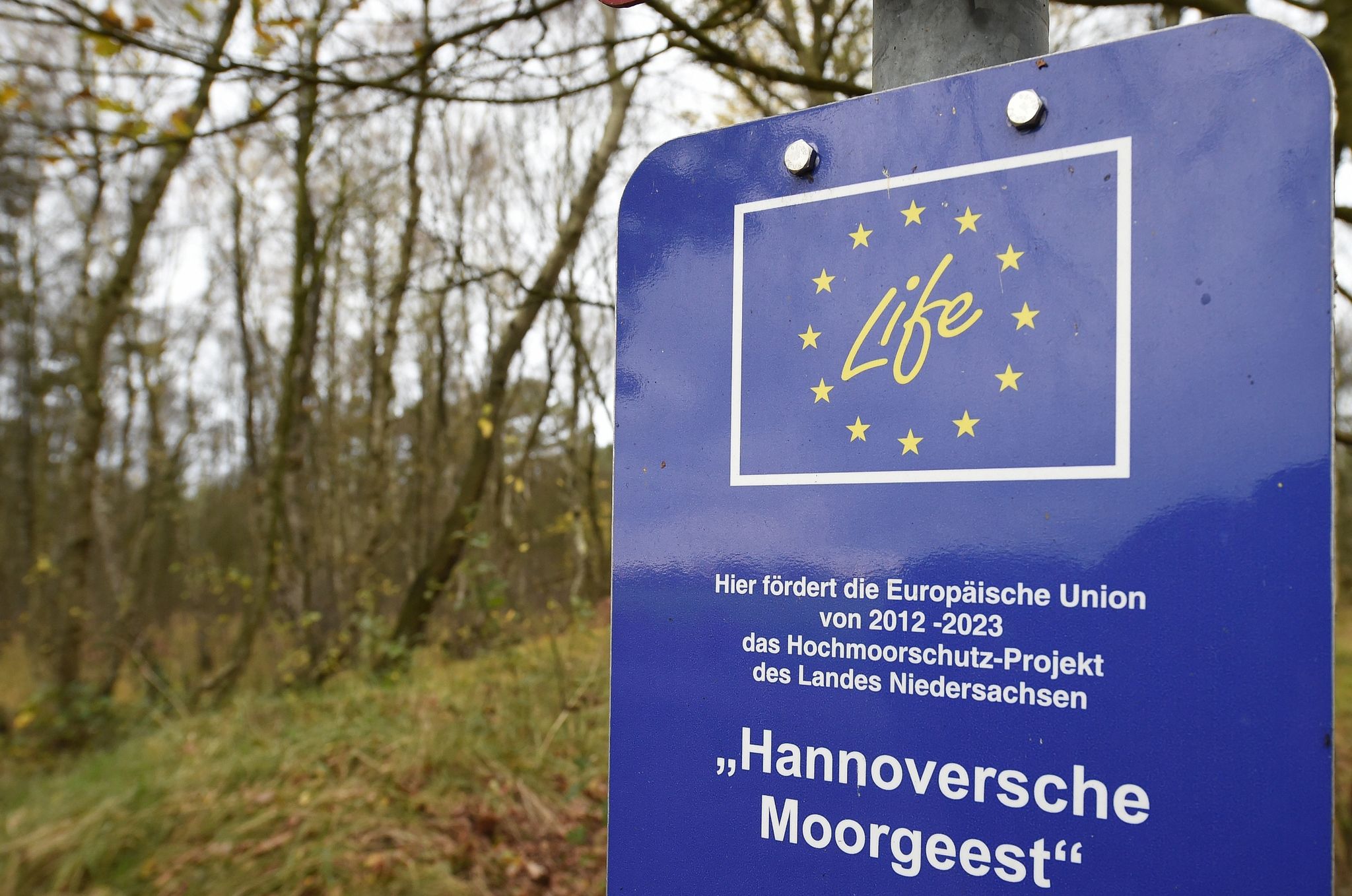 Erhebliche Verluste bei niedersächsischen Mooren