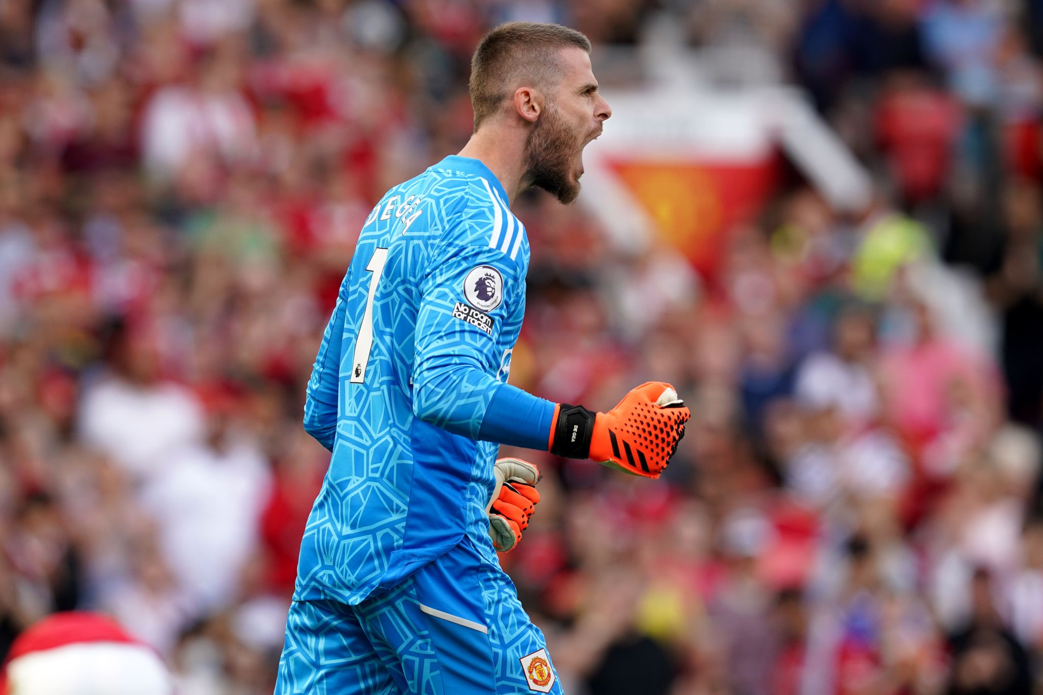 Ersatz für Neuer: Hamann plädiert für Spanier de Gea