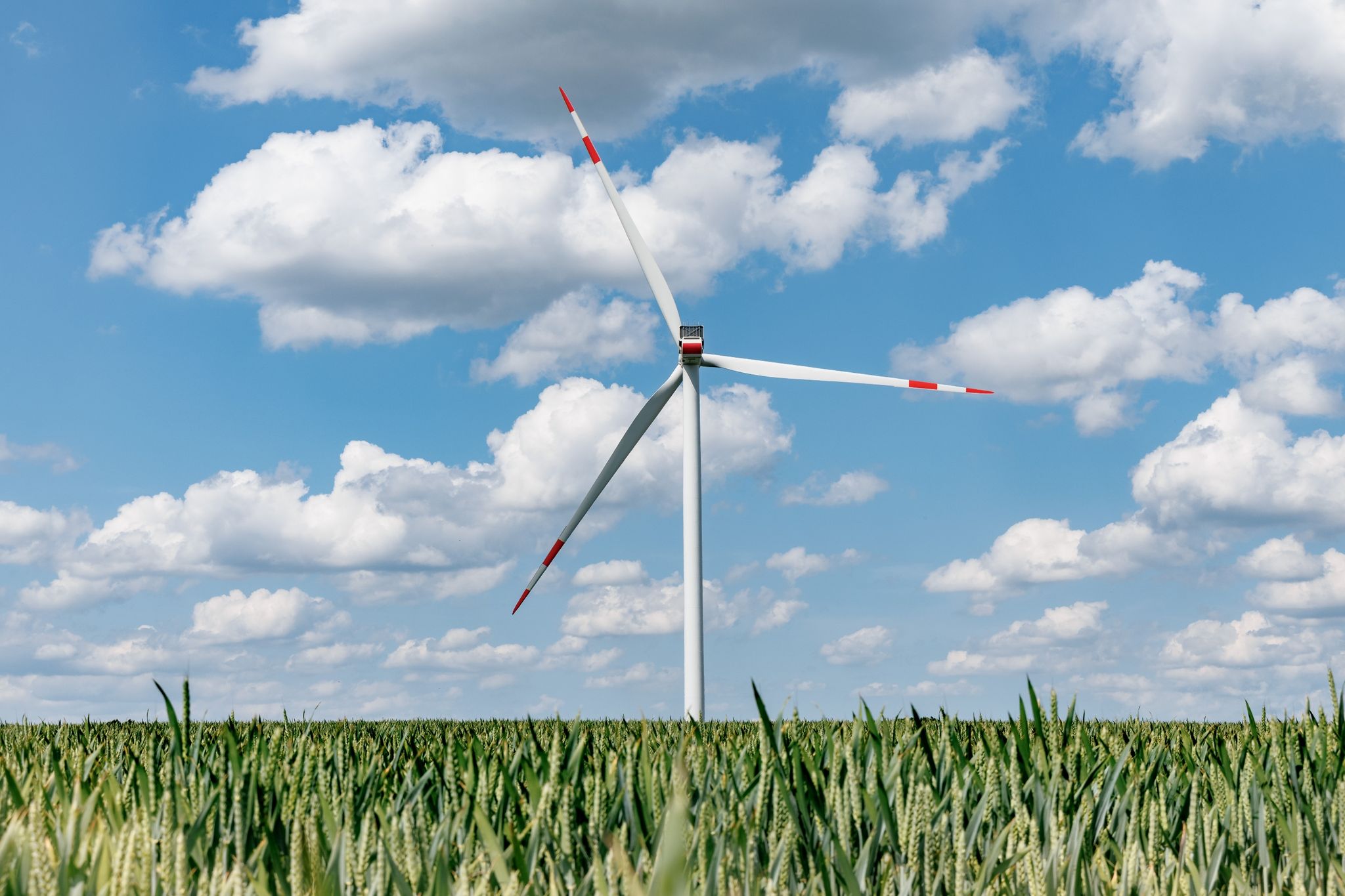 Netzagentur: Niedrigere Stromgebühren für Windkraftregionen