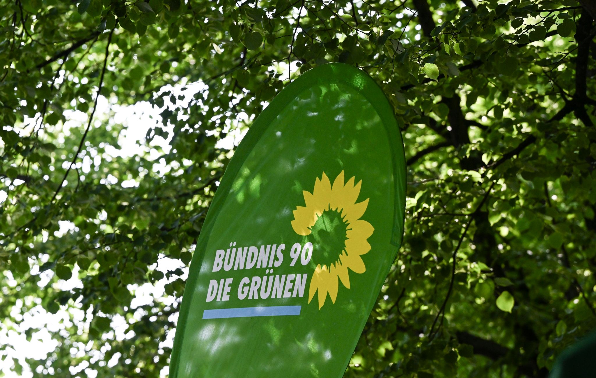 Umfrage: Wer ist schuld am Ampel-Streit?