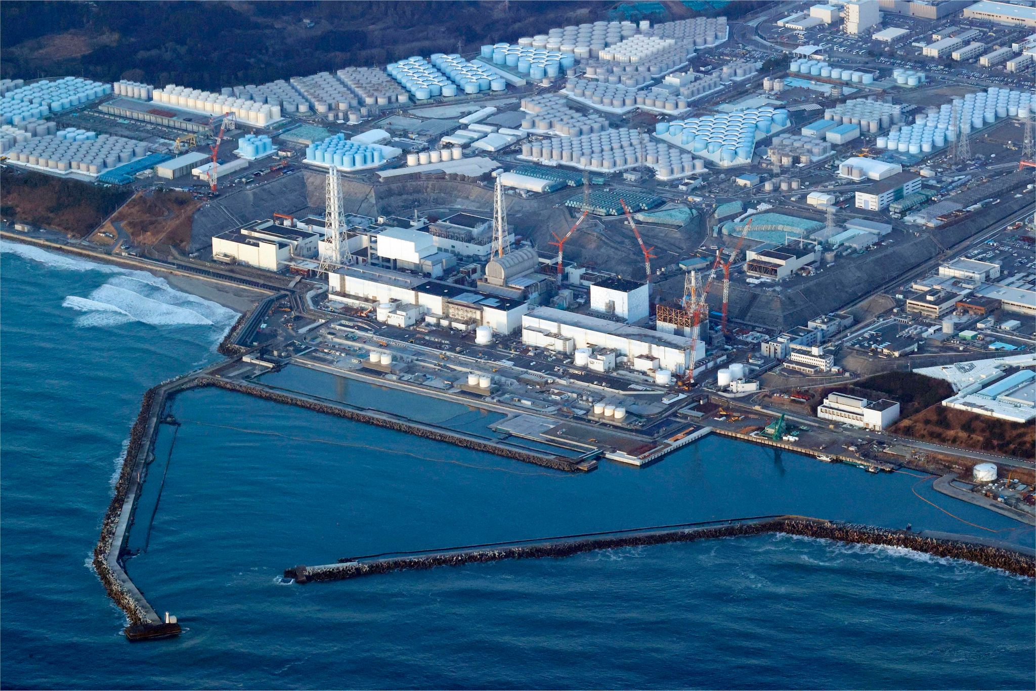 Verklappung von Fukushima-Wasser: Japan will Fisch testen
