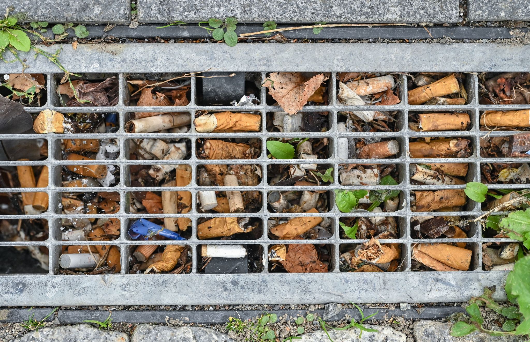 Wie Zigaretten die Umwelt belasten