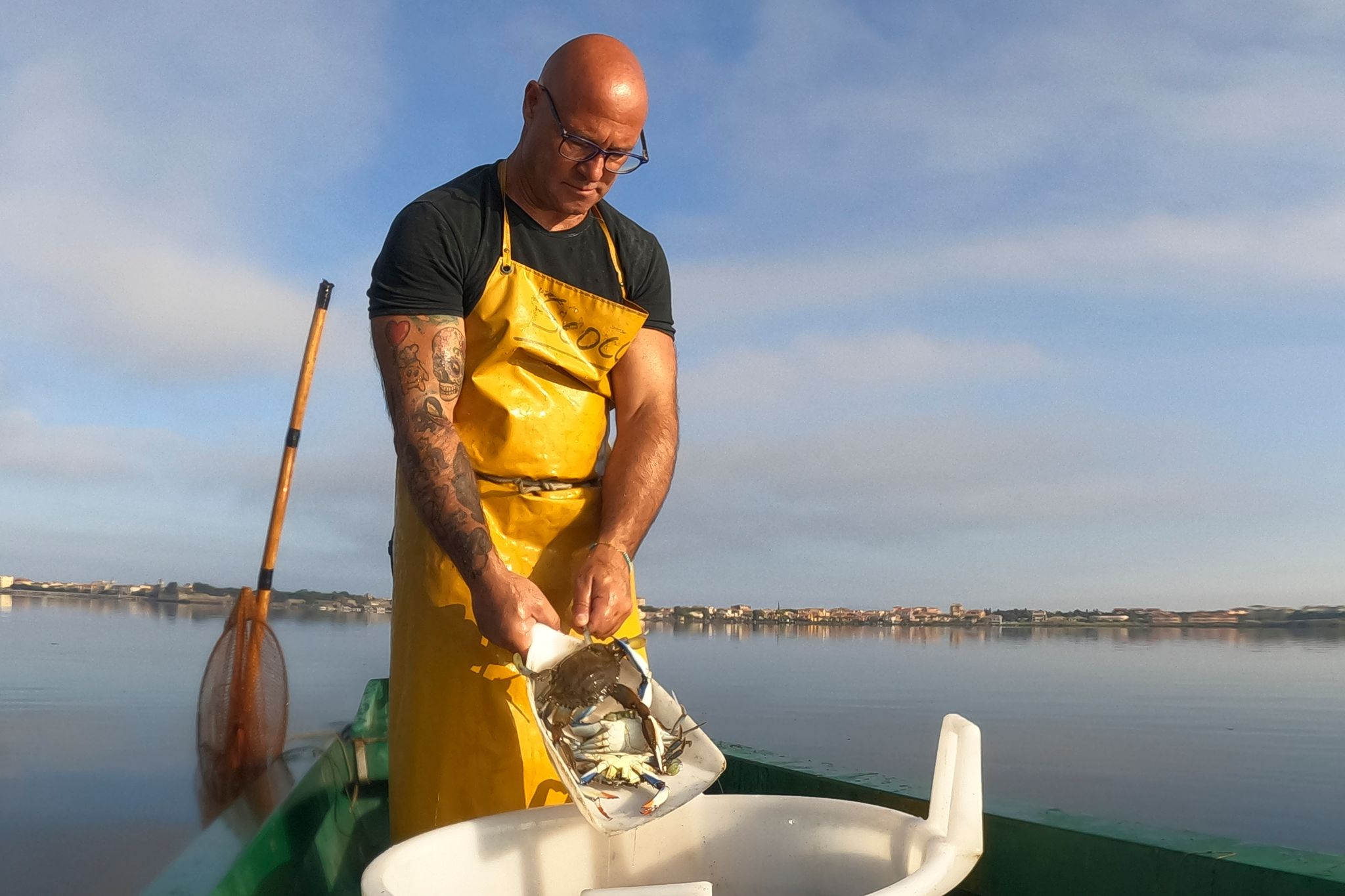 «Killer der Meere» – Italien sagt Blaukrabben den Kampf an